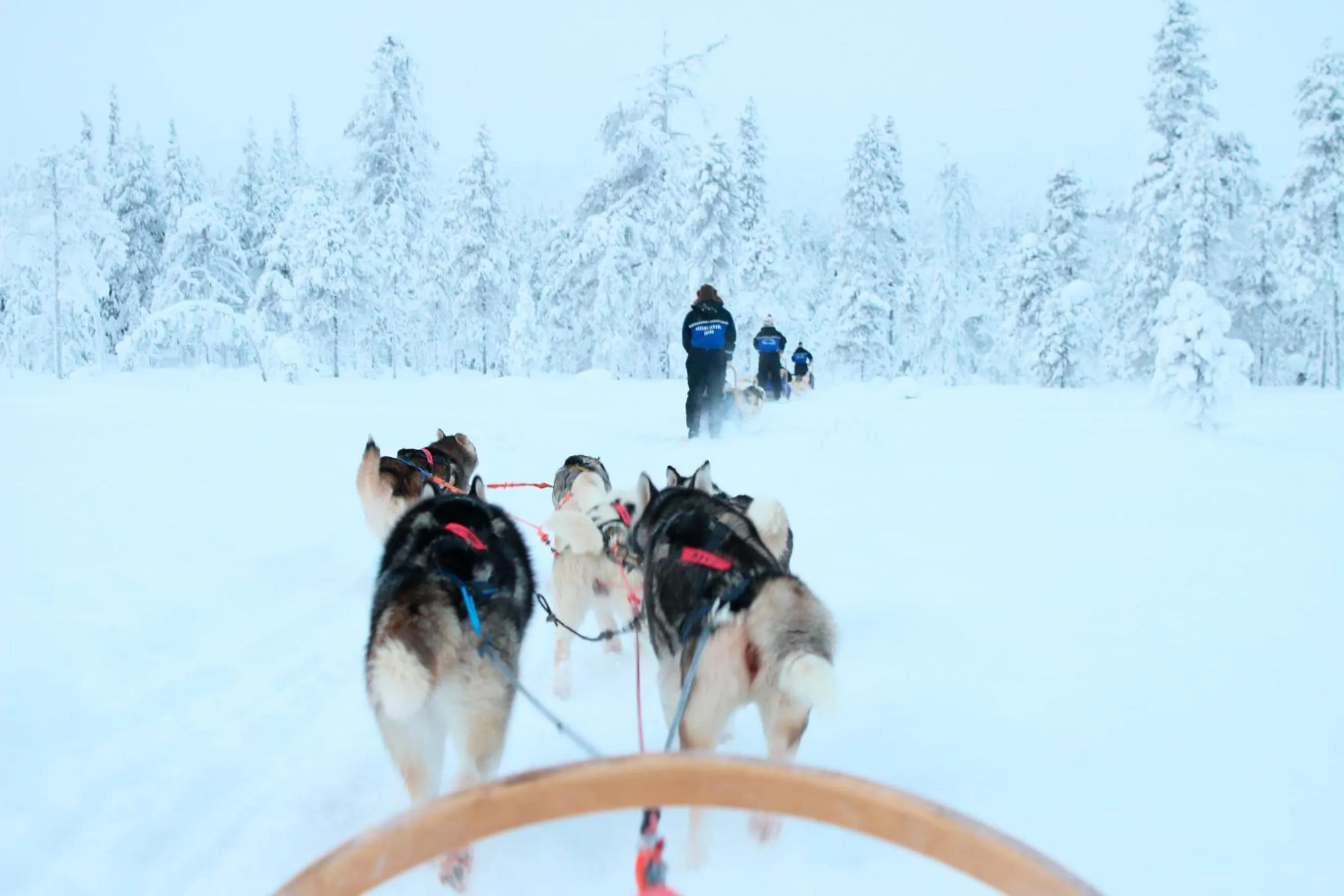 Activities in Holiday Club Salla Superior Apartments