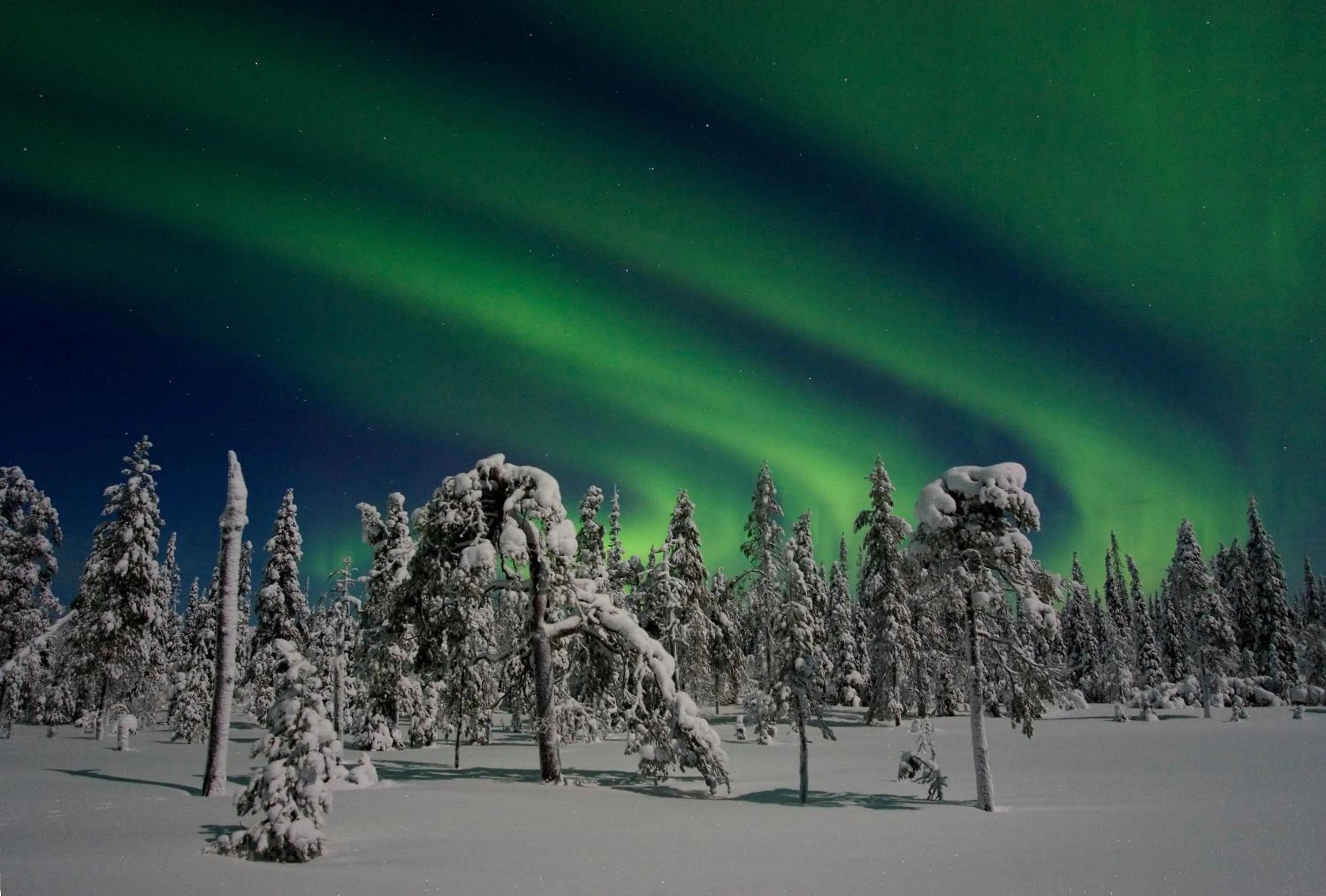 Area and facilities in Holiday Club Salla Superior Apartments