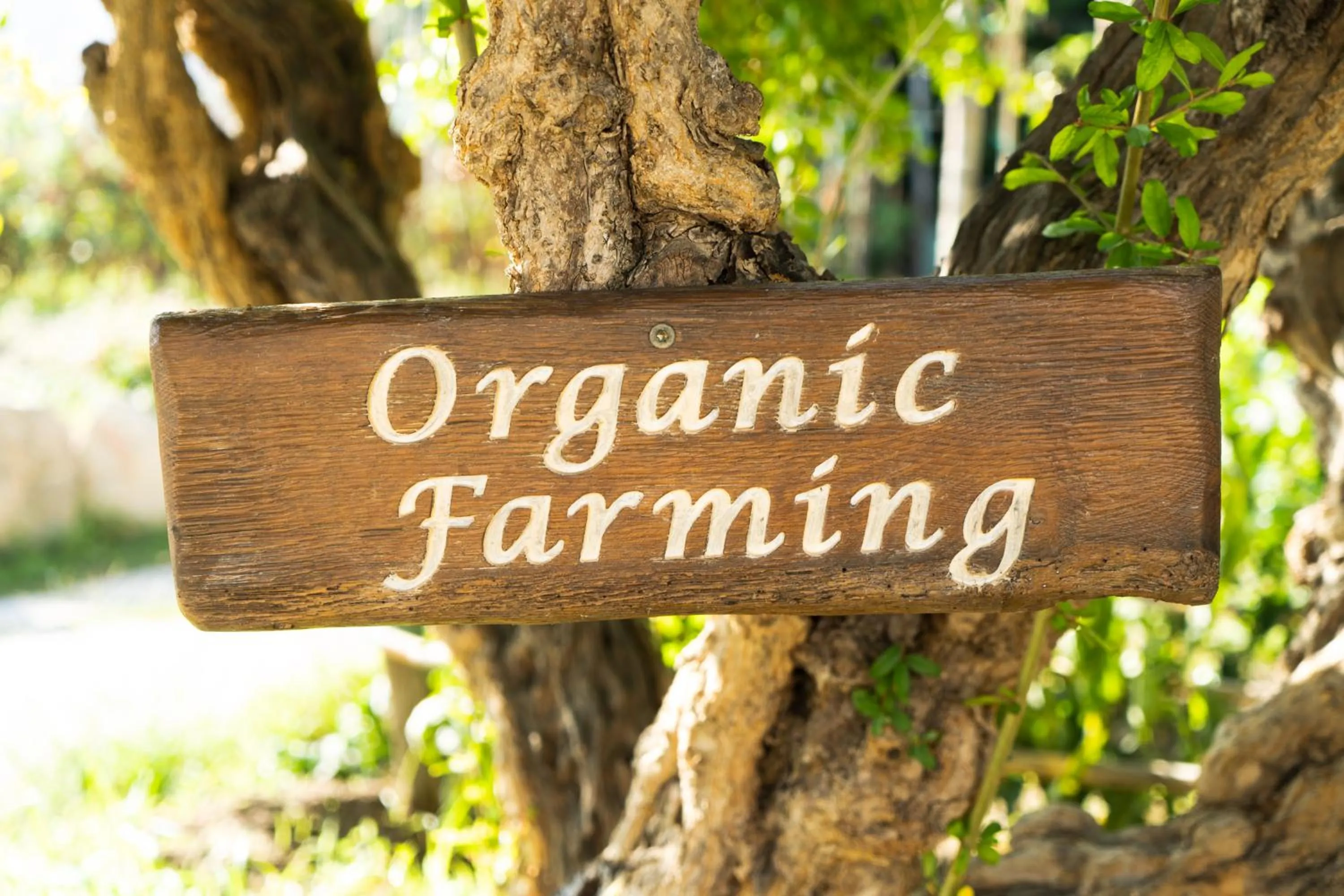 Day in Botania Relais & Spa - The Leading Hotels of the World