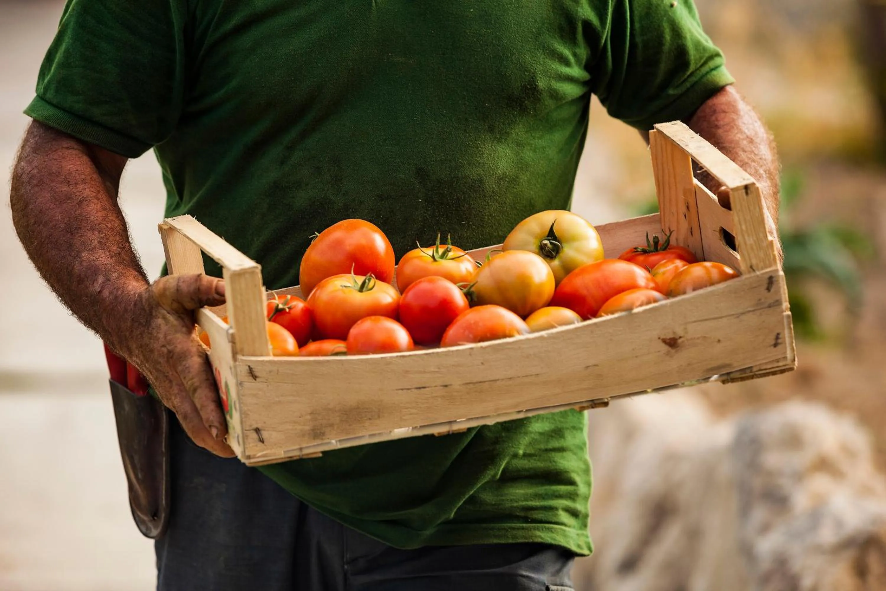 Garden in Botania Relais & Spa - The Leading Hotels of the World