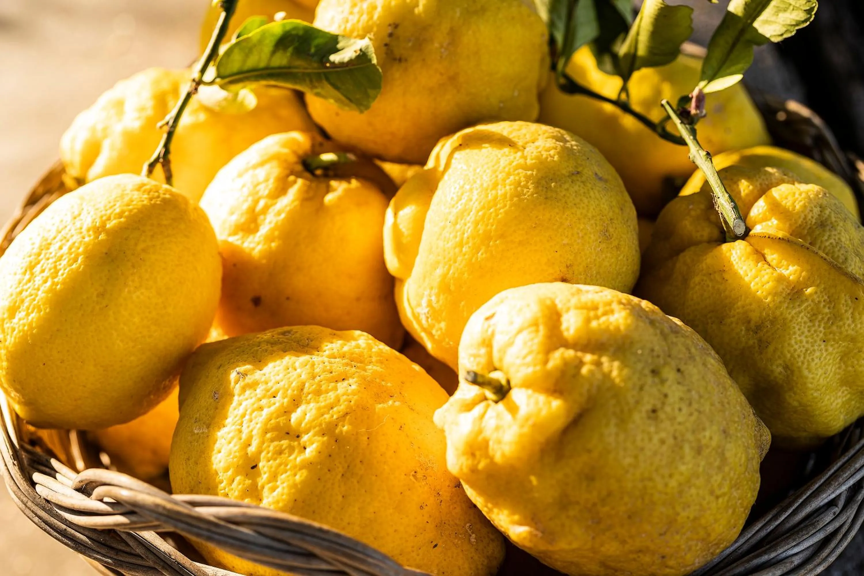 Garden in Botania Relais & Spa - The Leading Hotels of the World