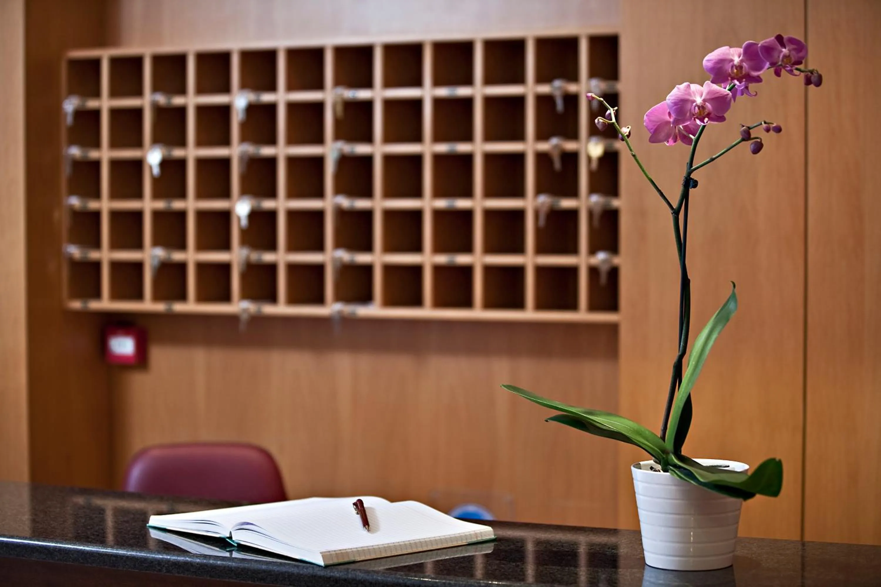 Lobby or reception in Stalis Hotel