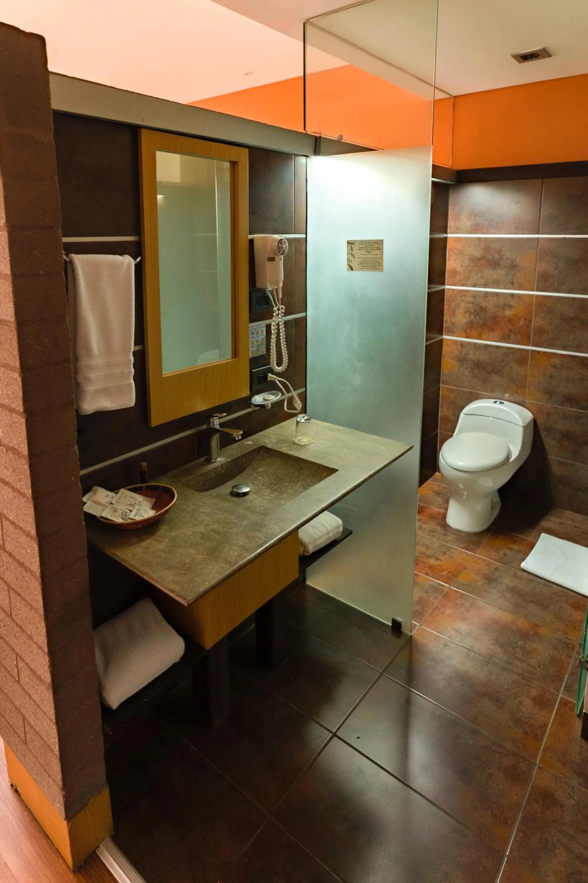 Shower in Diez Hotel Categoría Colombia