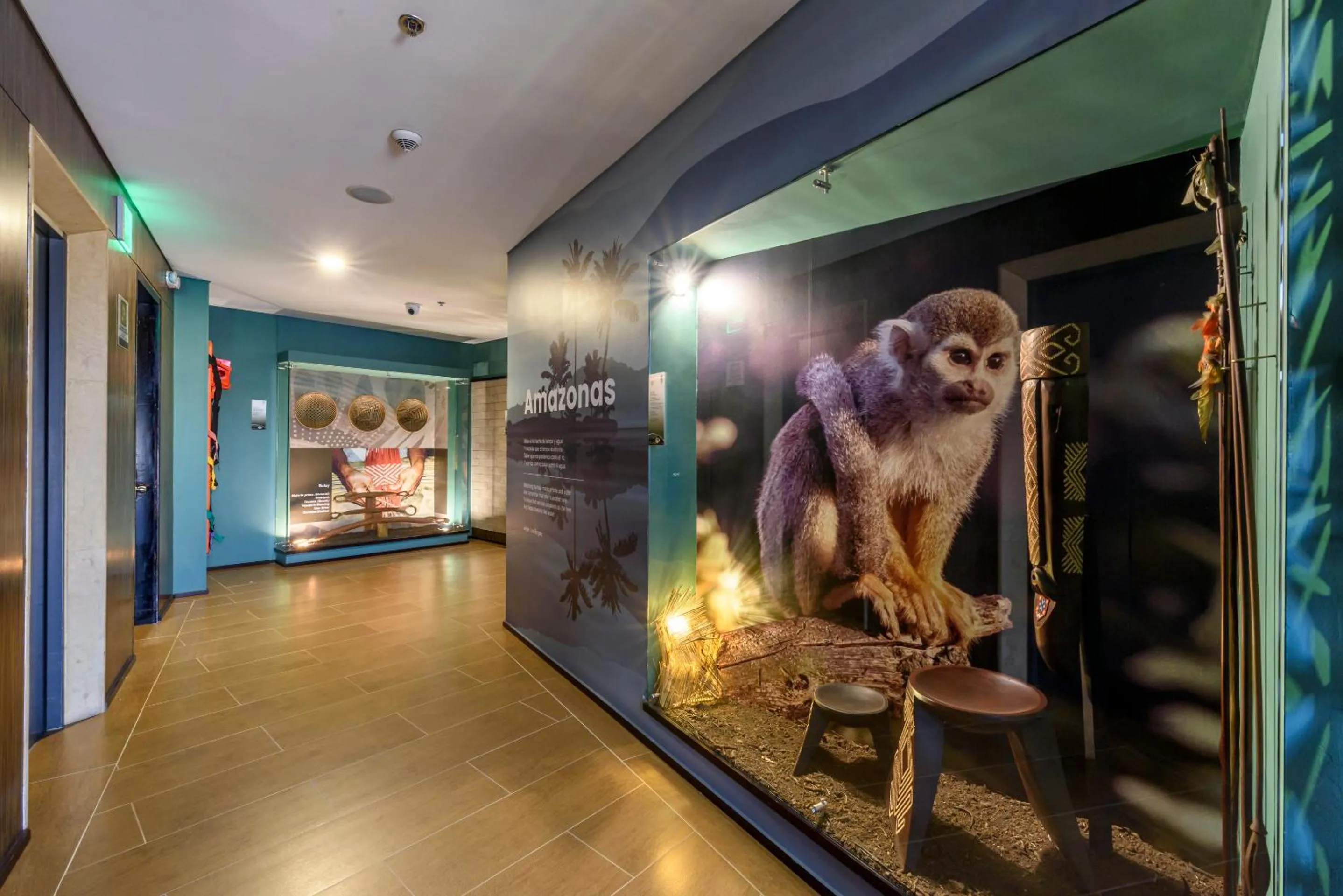 Animals in Diez Hotel Categoría Colombia