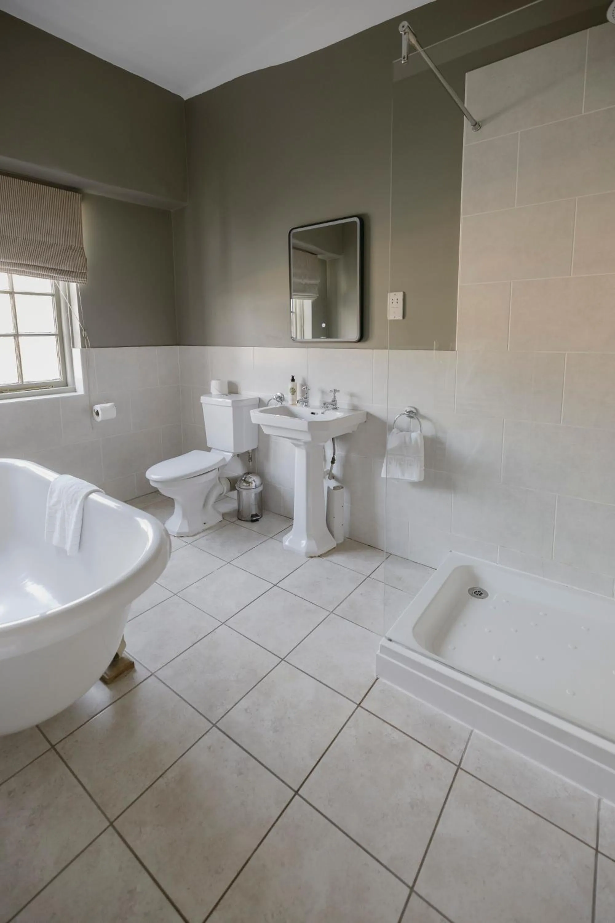 Toilet in The Bull And Swan