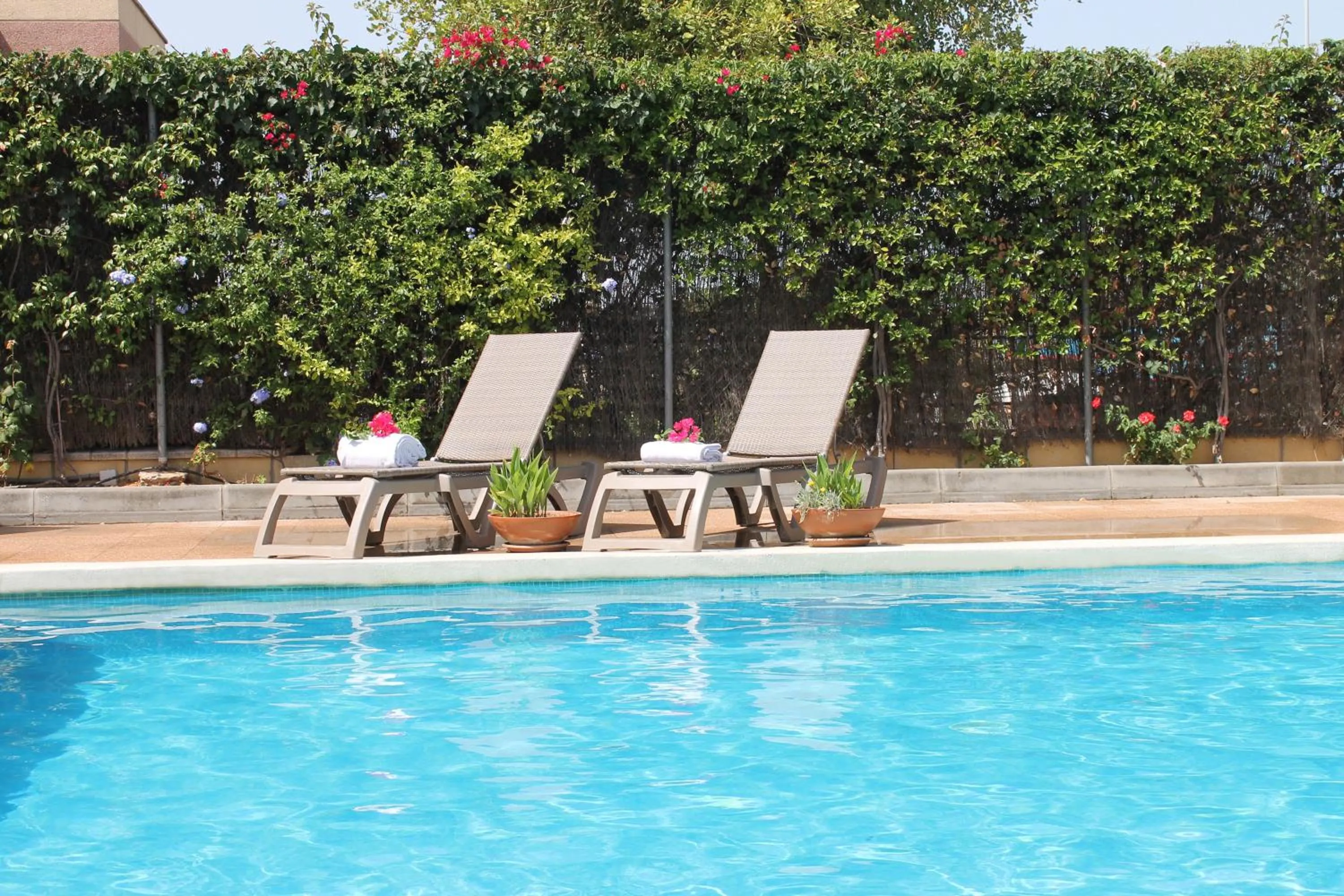 Day in Ibis Jerez De La Frontera Cadiz