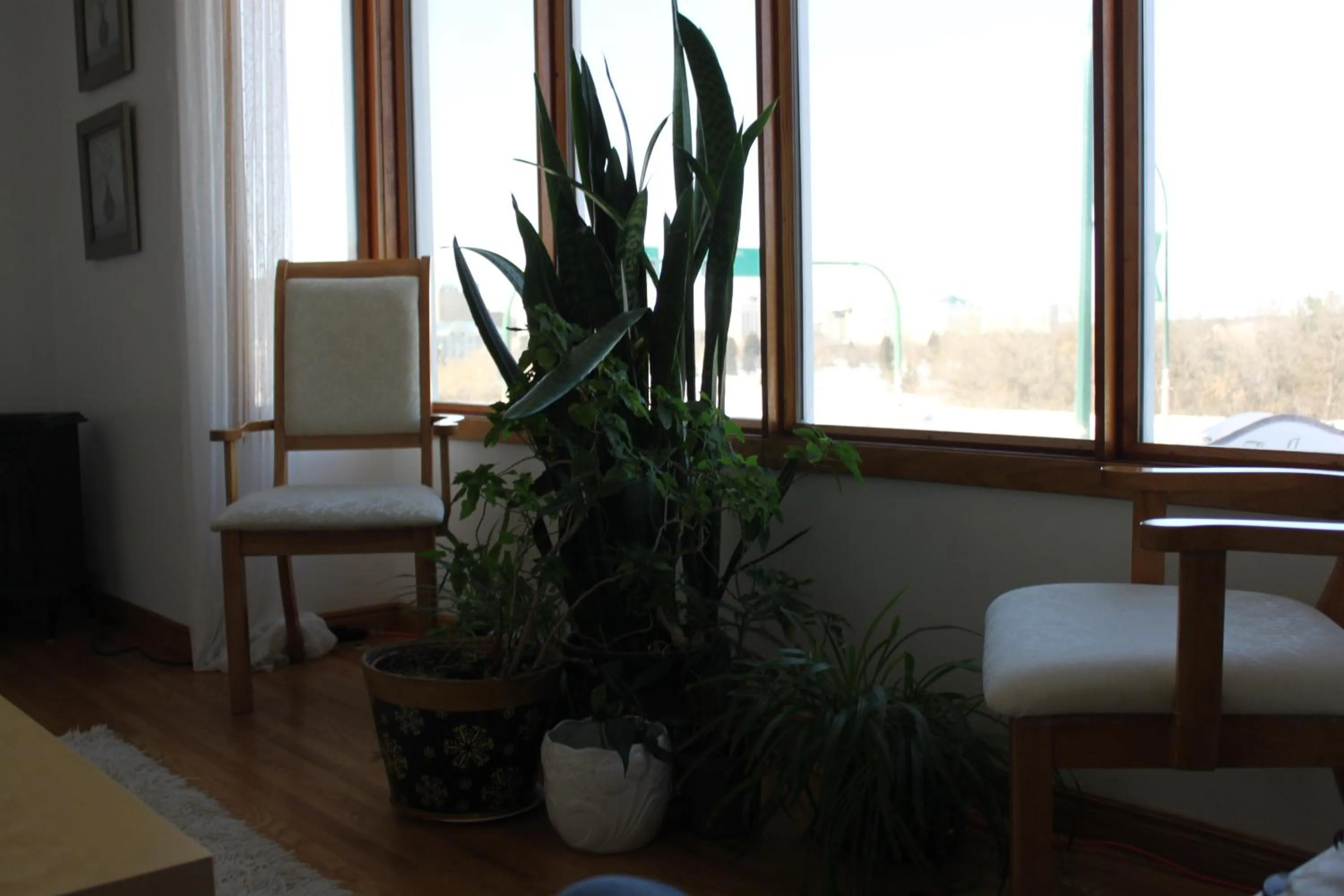 Decorative detail in The Inn on College