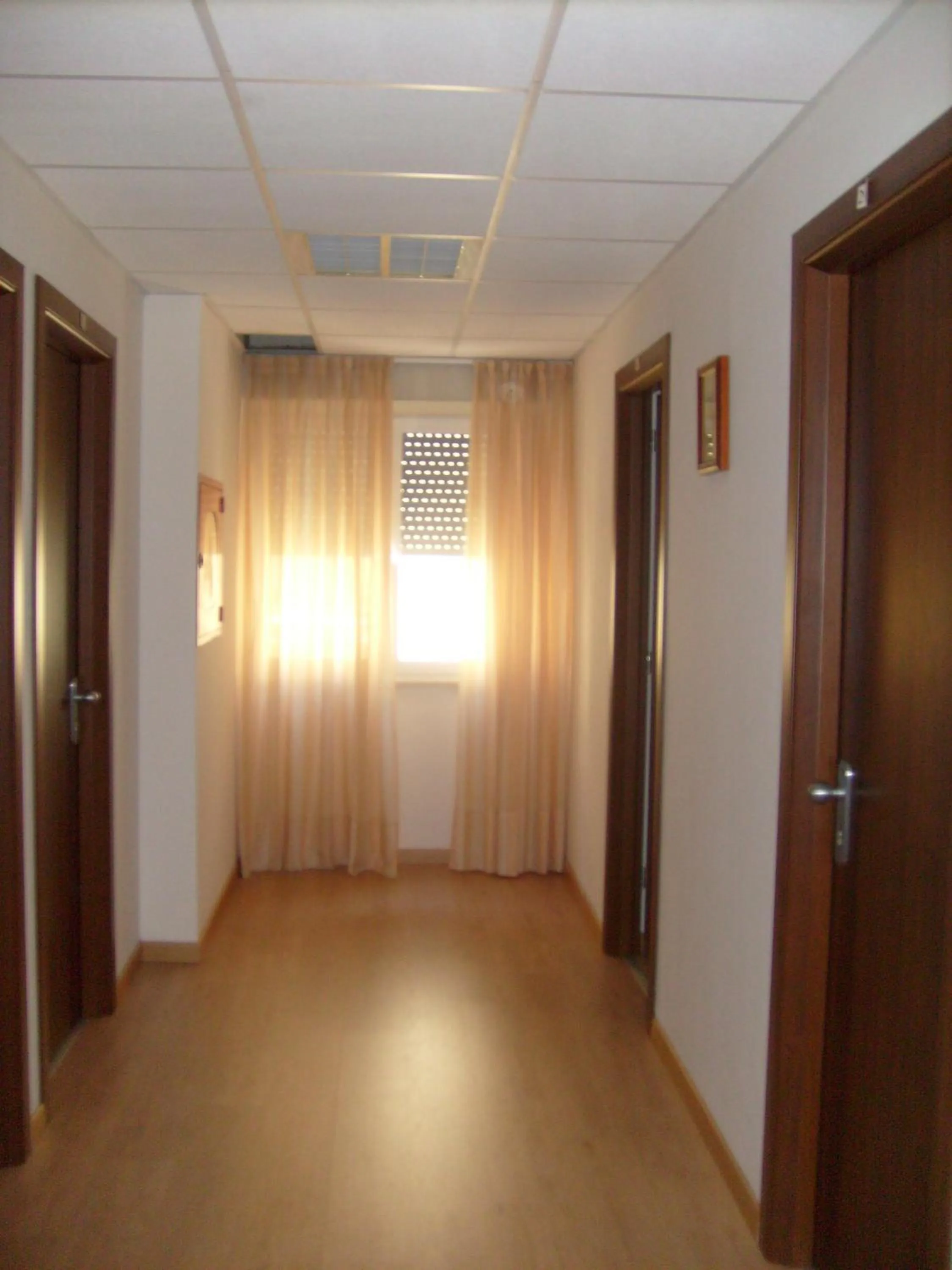 Area and facilities in Hotel Tiziana