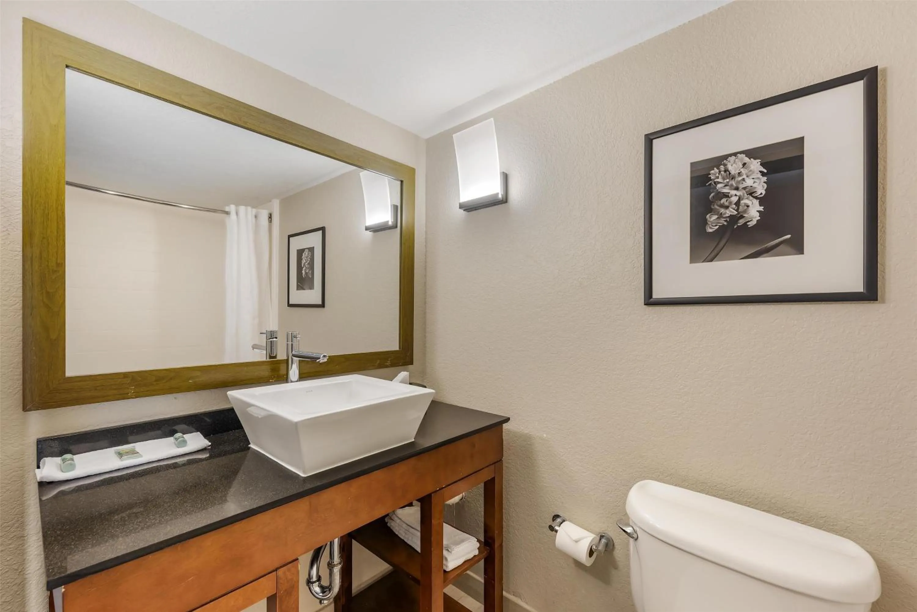 Bathroom in Best Western Alamo Suites