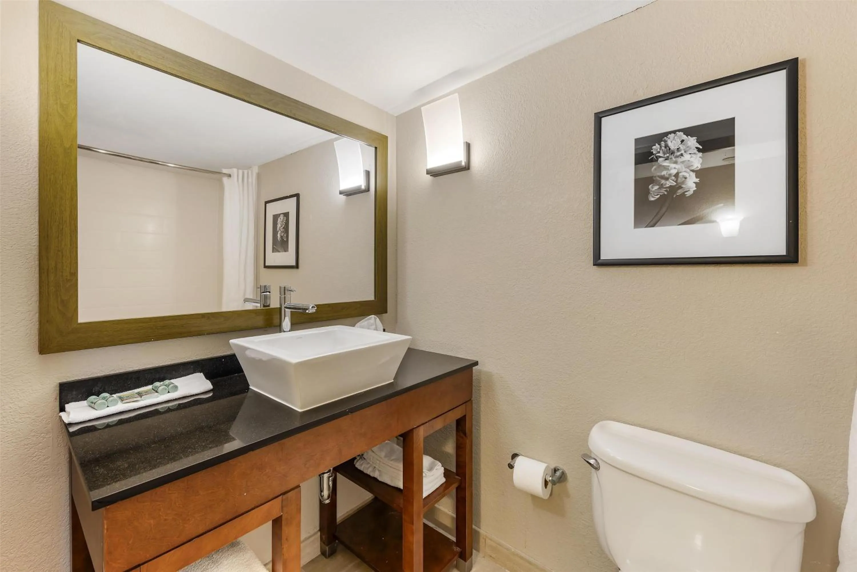Bathroom in Best Western Alamo Suites