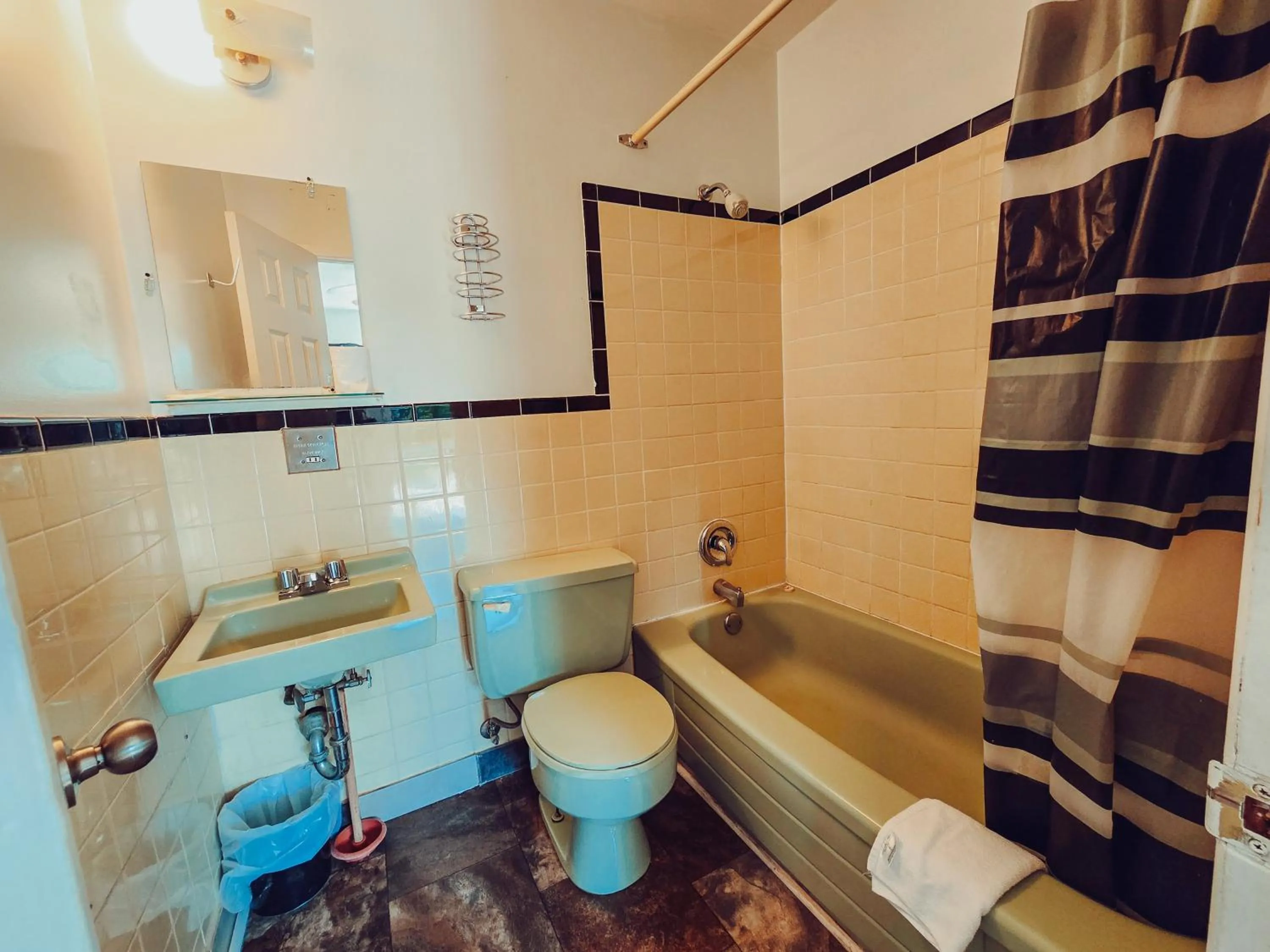 Toilet in Norfolk Motel