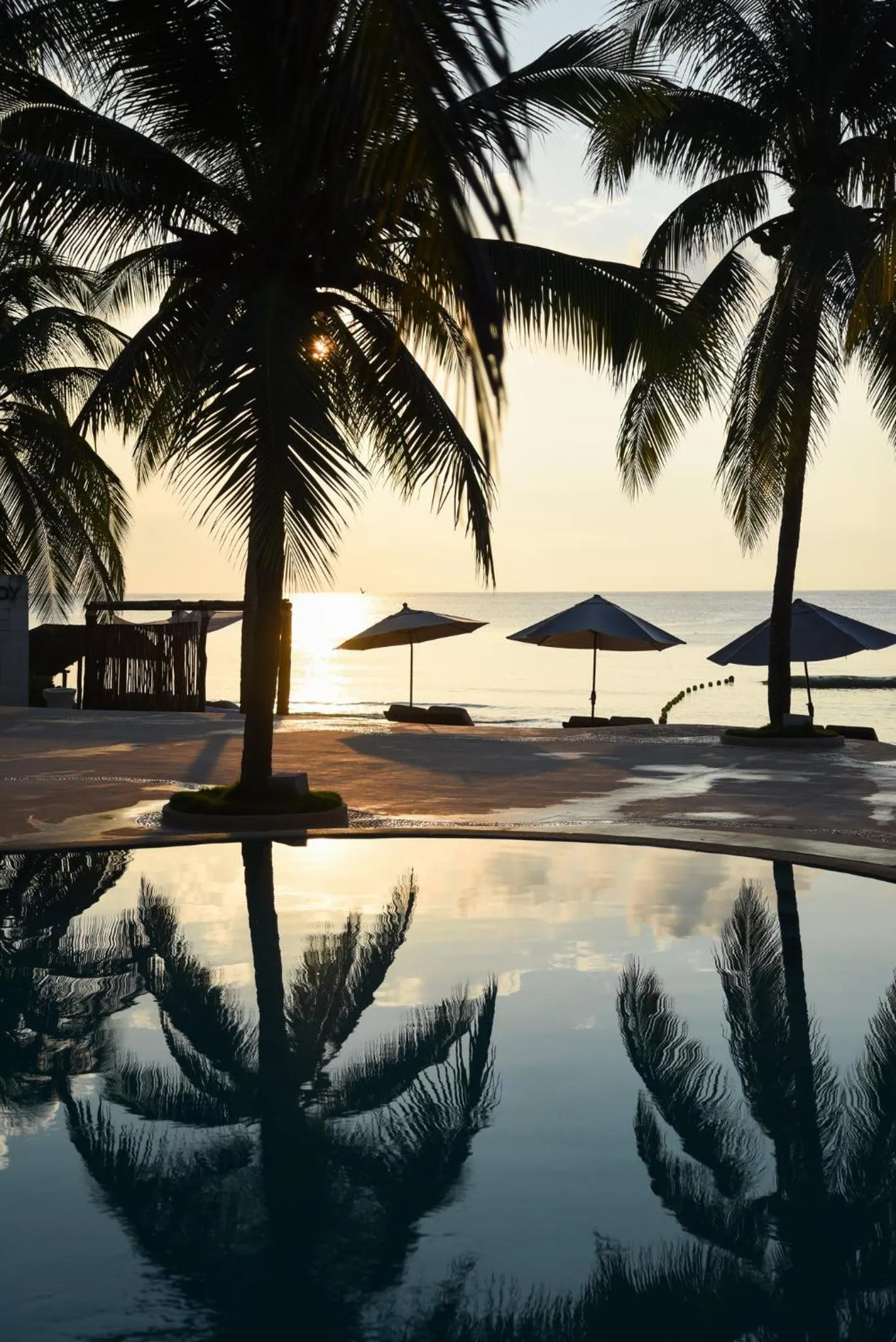 Natural landscape in Viceroy Riviera Maya, a Luxury Villa Resort - Adults Only