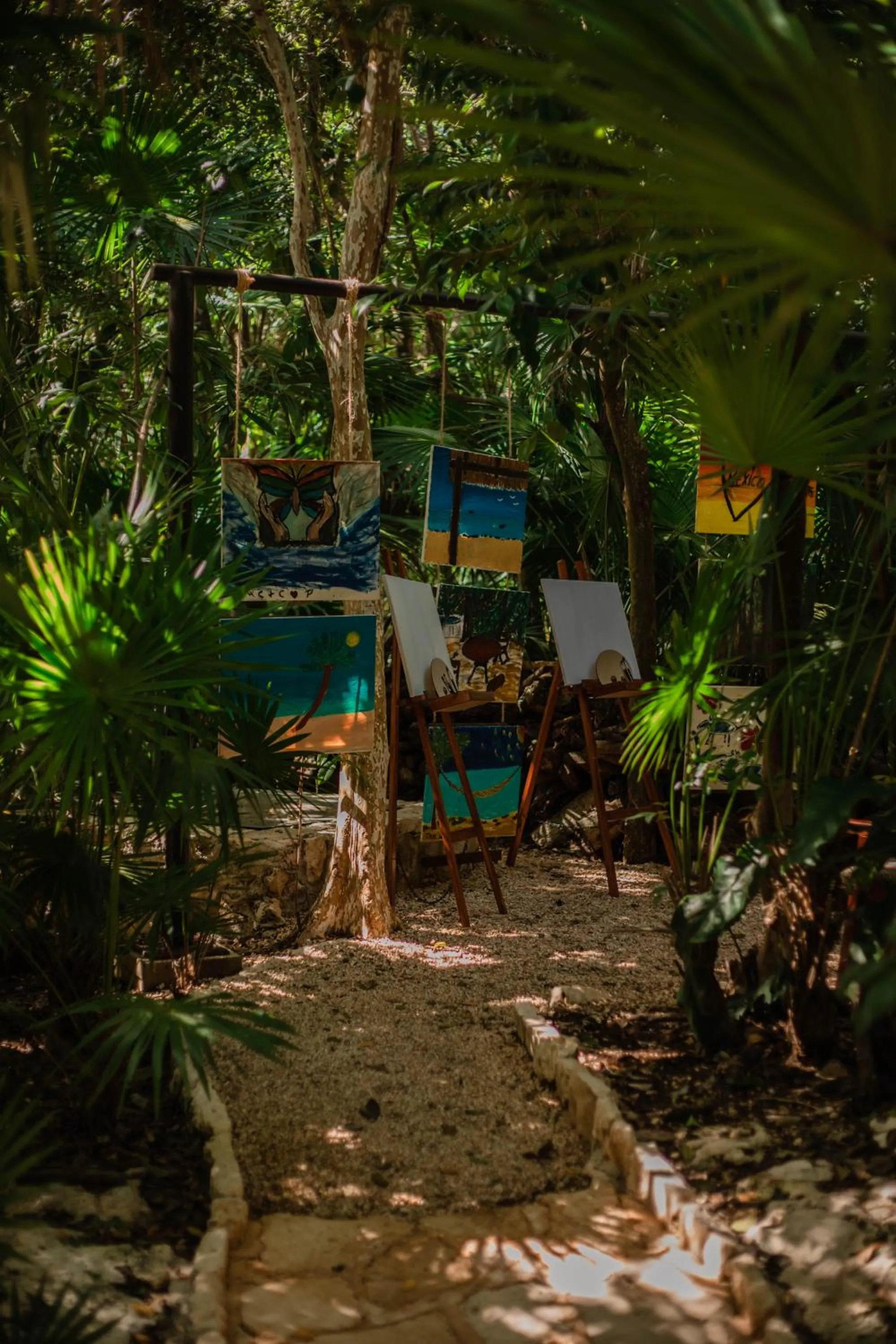 Activities in Viceroy Riviera Maya, a Luxury Villa Resort - Adults Only