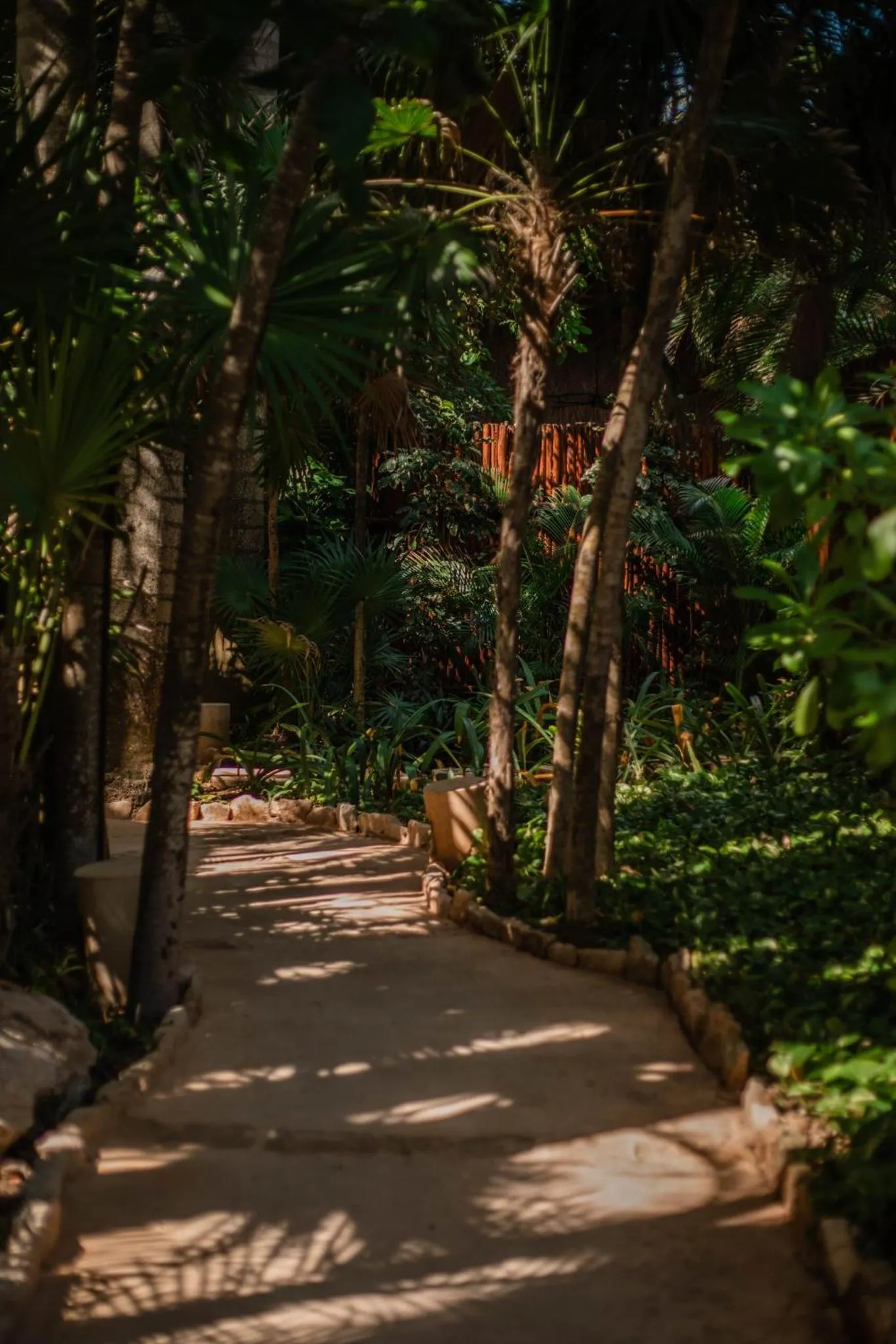 Natural landscape in Viceroy Riviera Maya, a Luxury Villa Resort - Adults Only