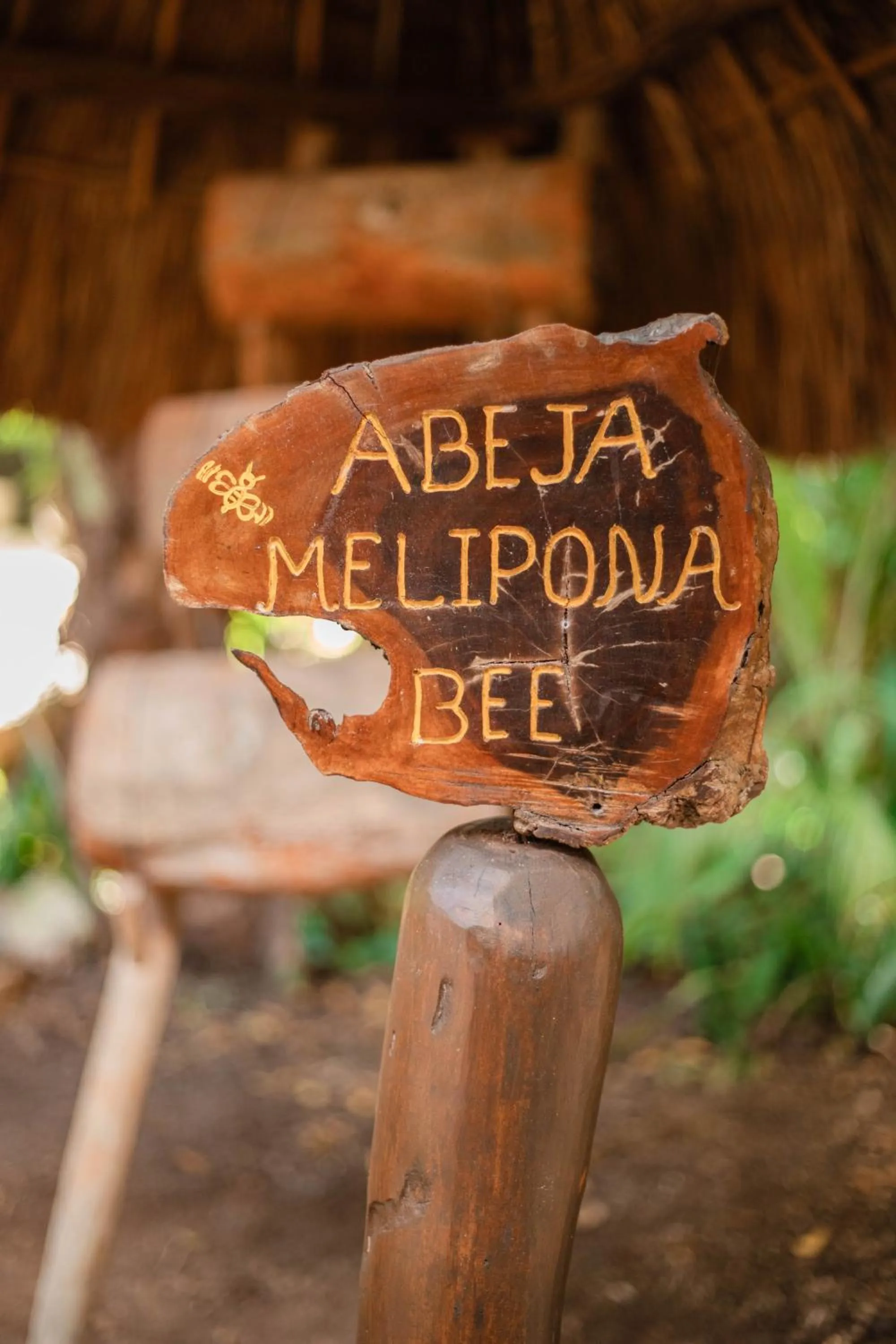 Spa and wellness centre/facilities in Viceroy Riviera Maya, a Luxury Villa Resort - Adults Only