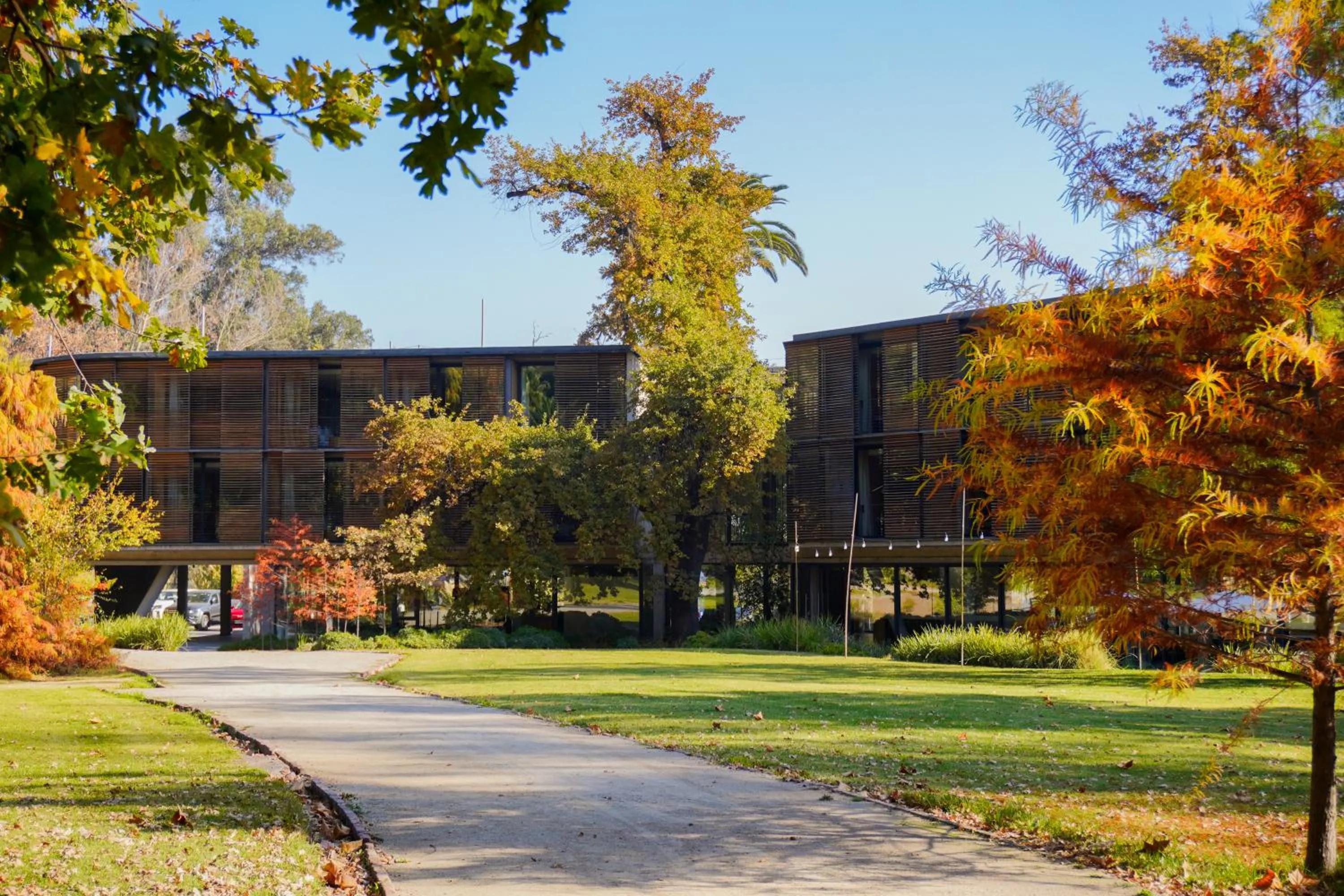 Natural landscape in Las Majadas Hotel & Centro de Reuniones