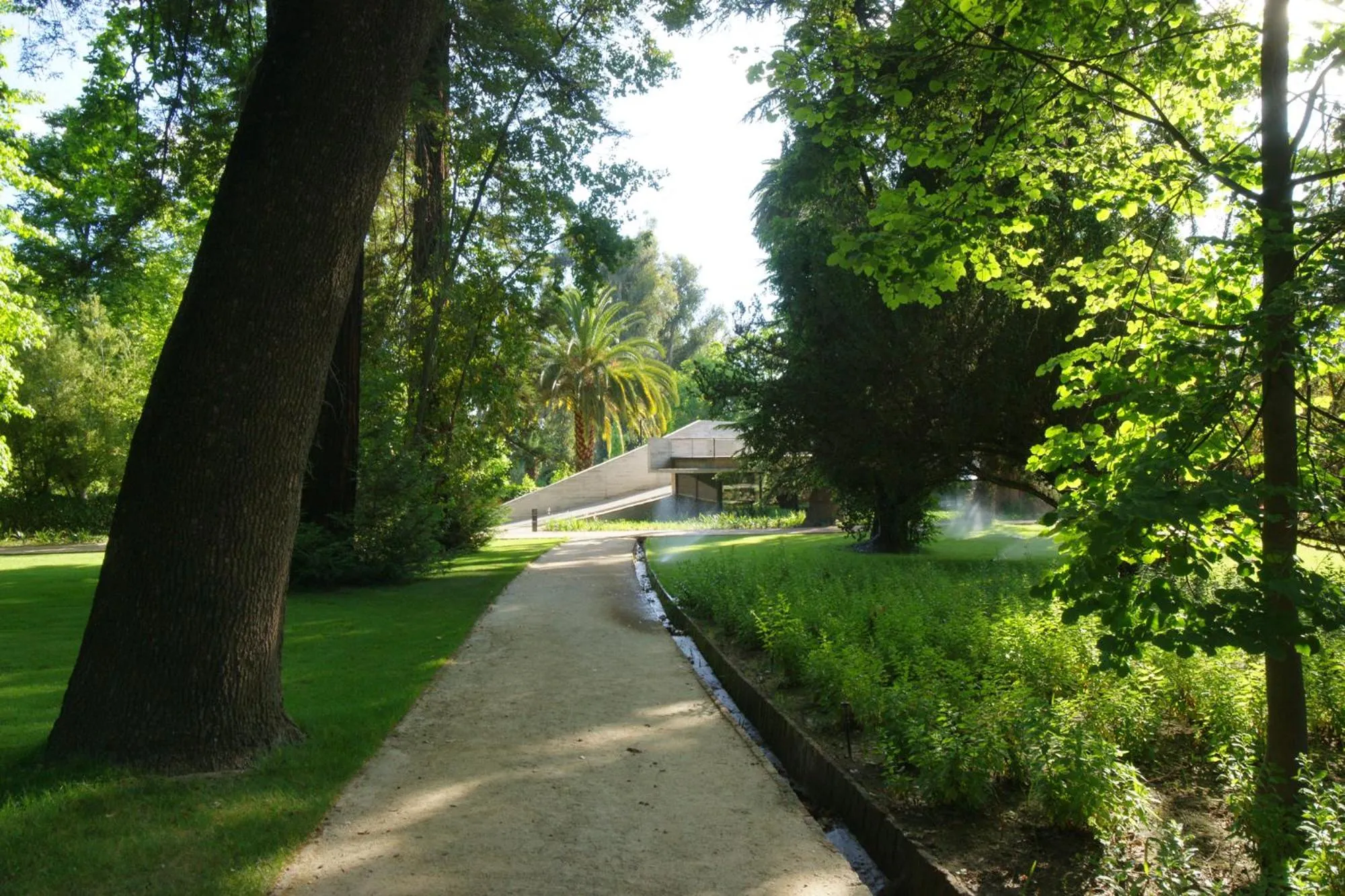 Garden in Las Majadas Hotel & Centro de Reuniones