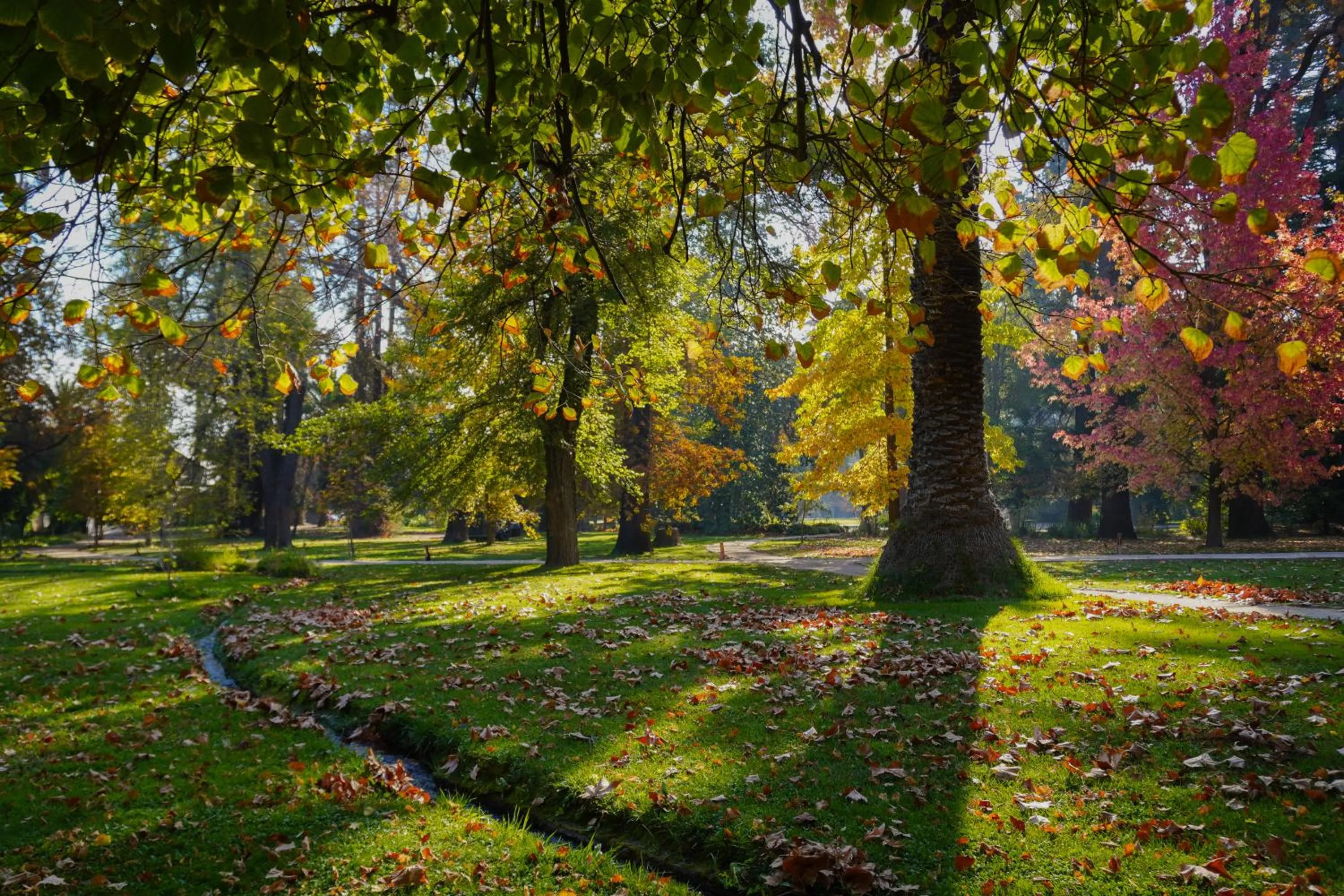 Natural landscape in Las Majadas Hotel & Centro de Reuniones