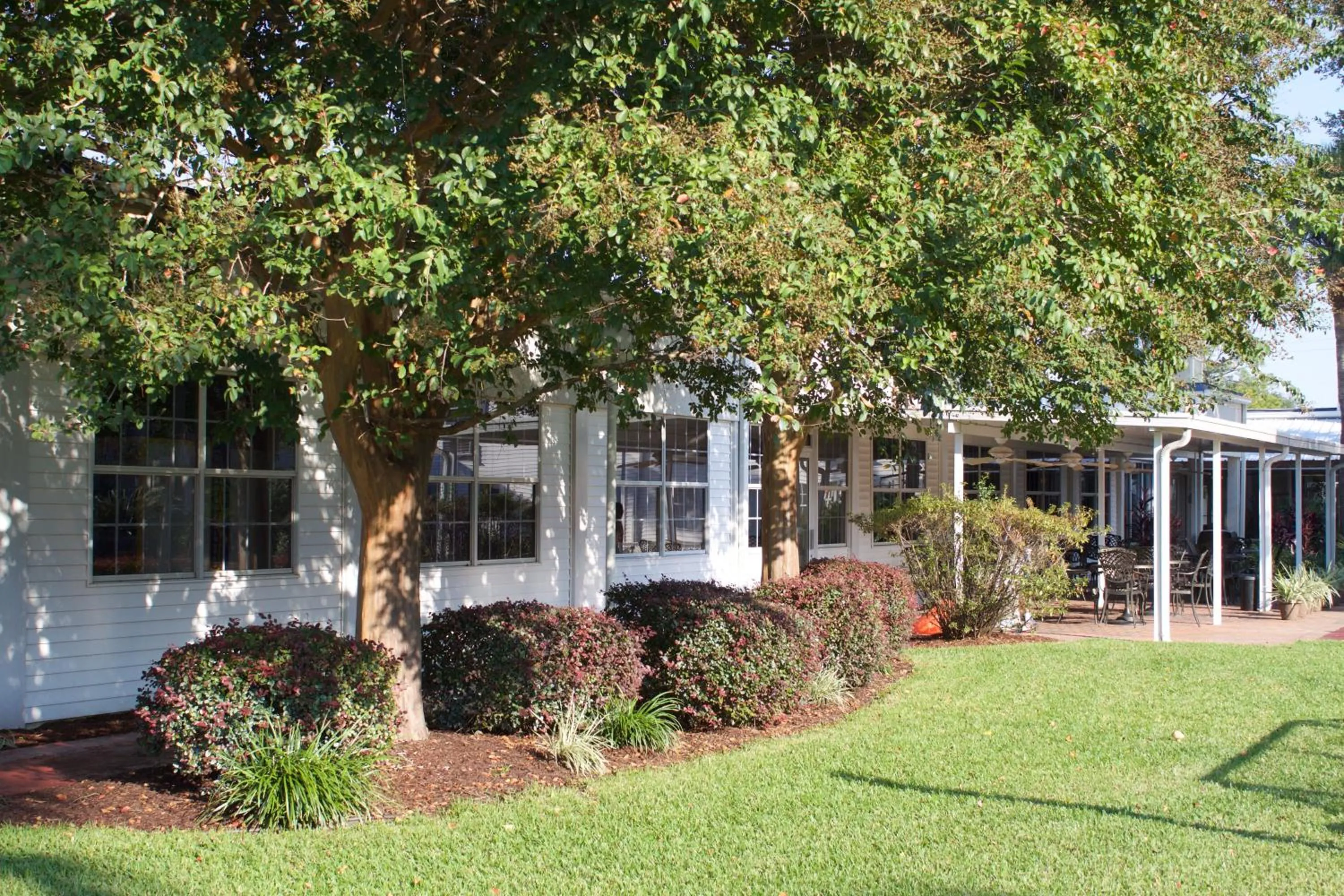 Garden in Marina Bay Resort