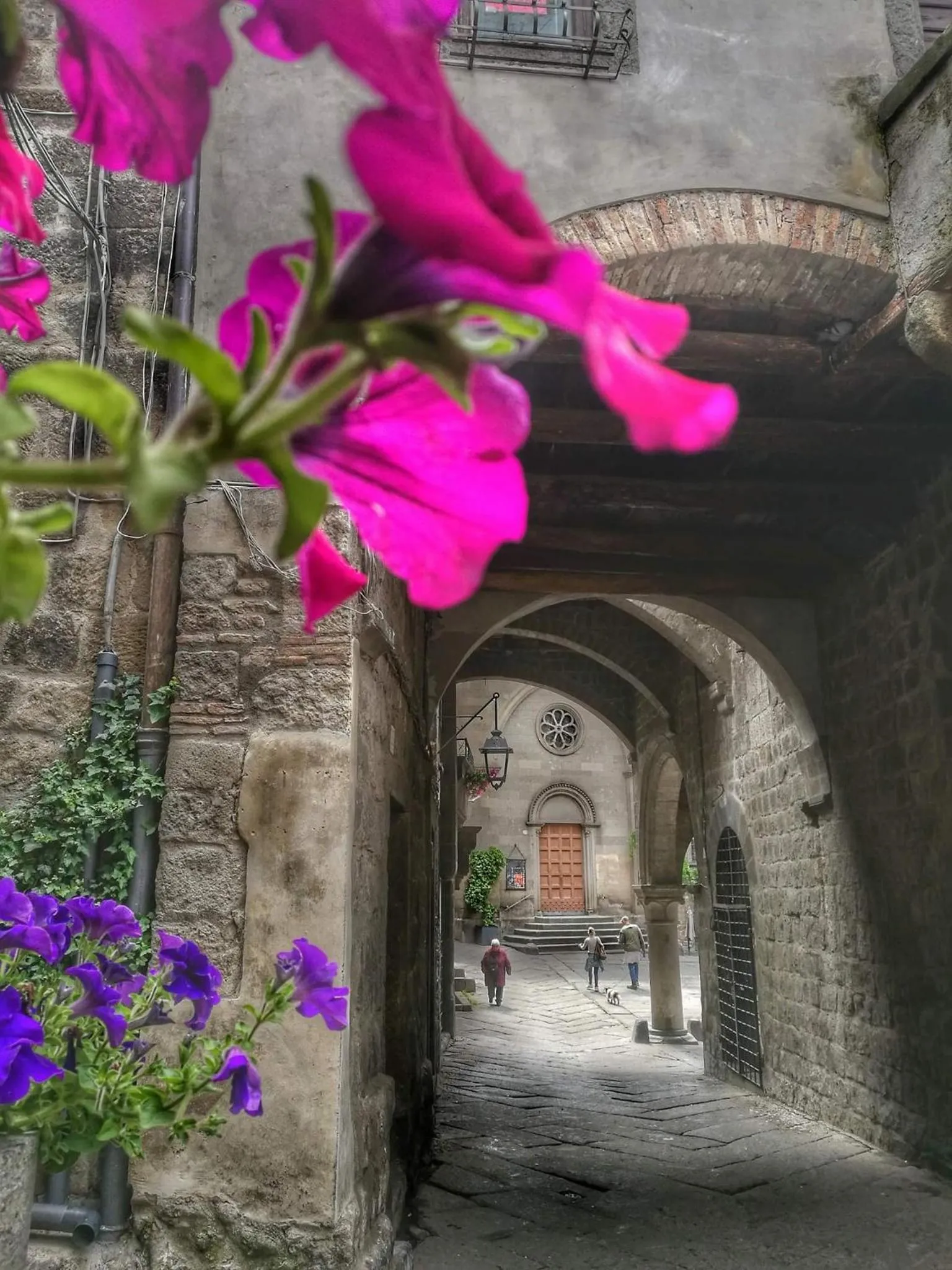 B&B Le Cinque Querce