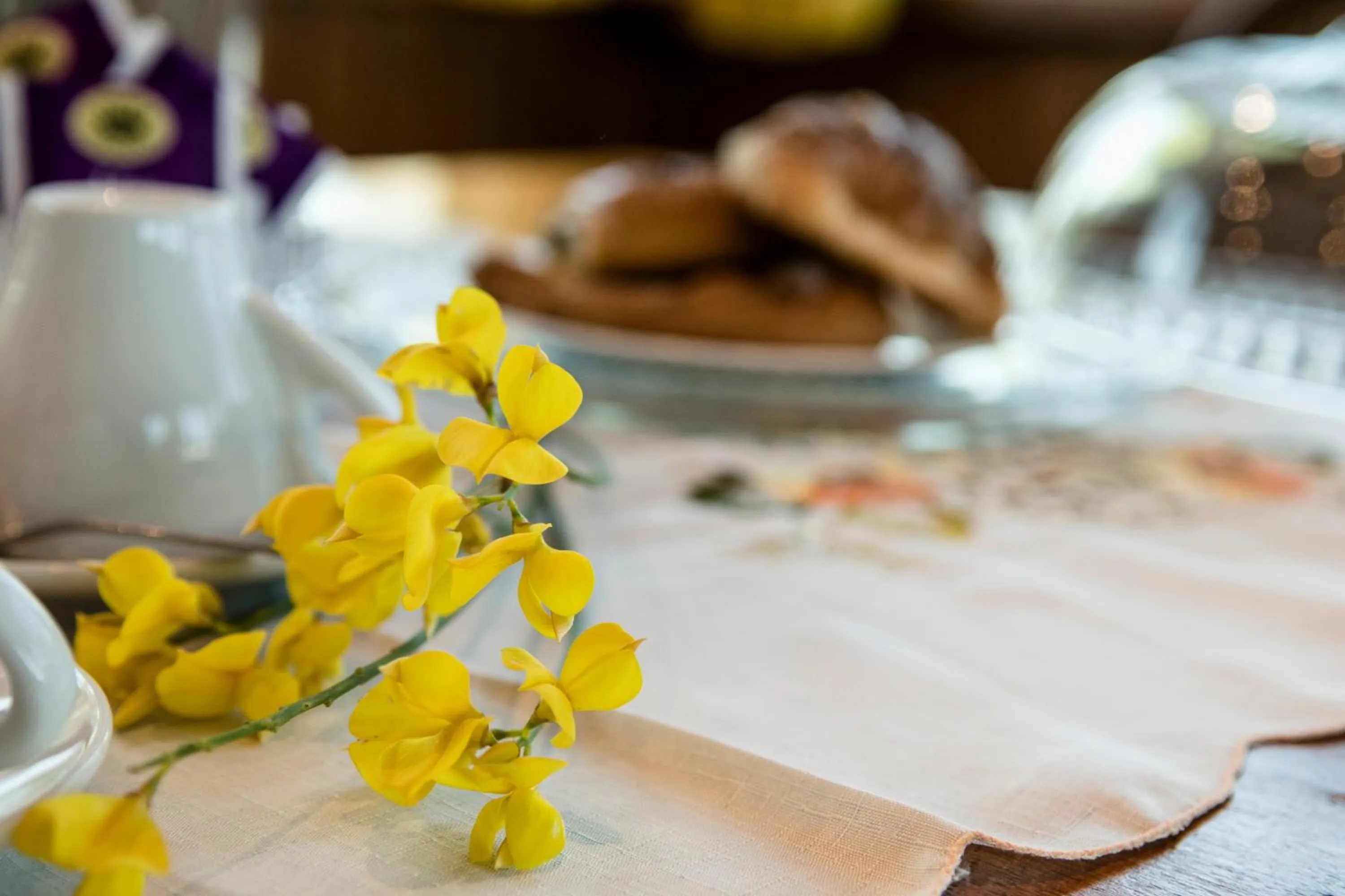Italian breakfast in B&B Le Cinque Querce