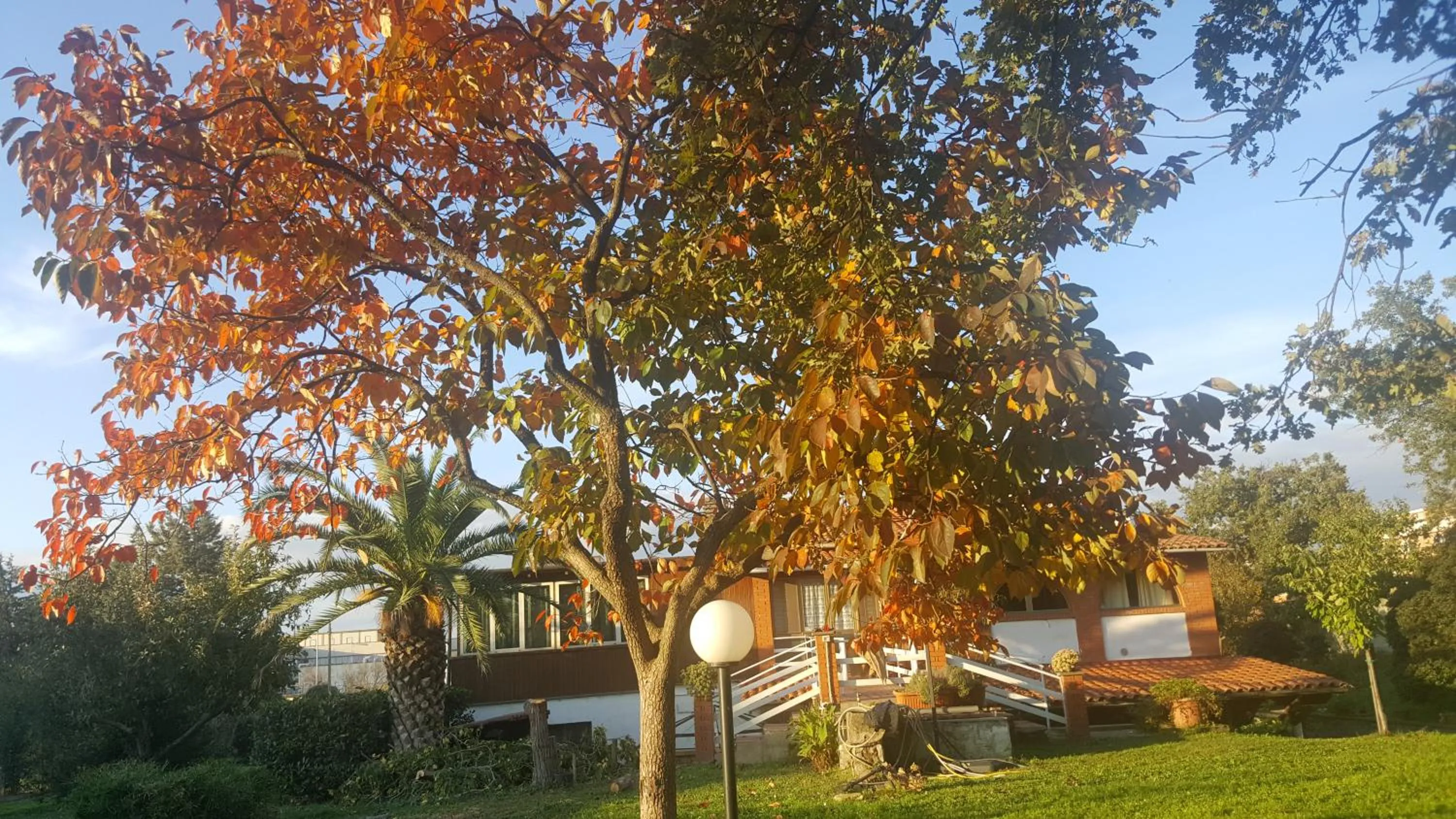 Garden view in B&B Le Cinque Querce