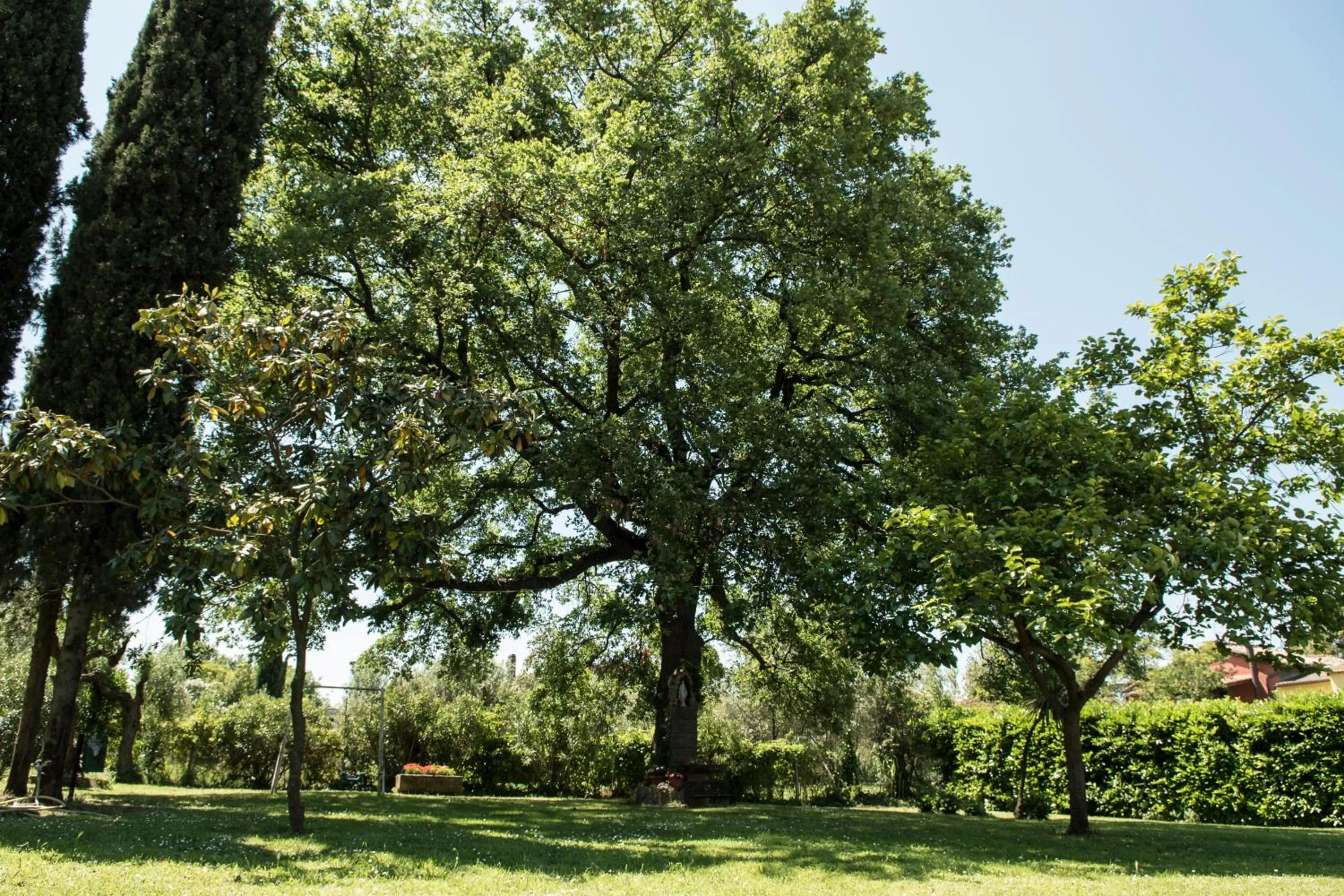 Spring in B&B Le Cinque Querce