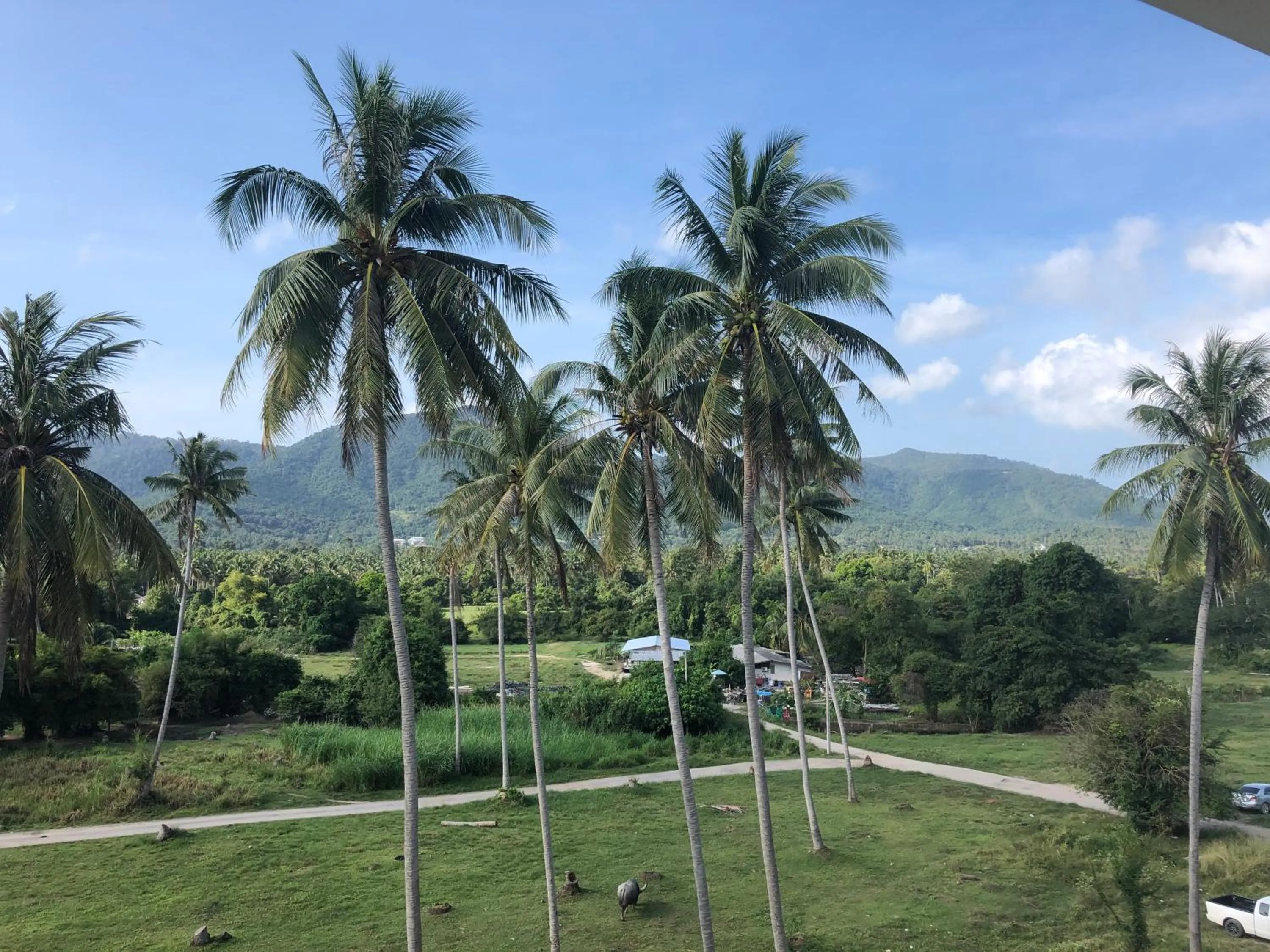 Natural landscape in Amarin Samui Hotel - SHA Plus Certified