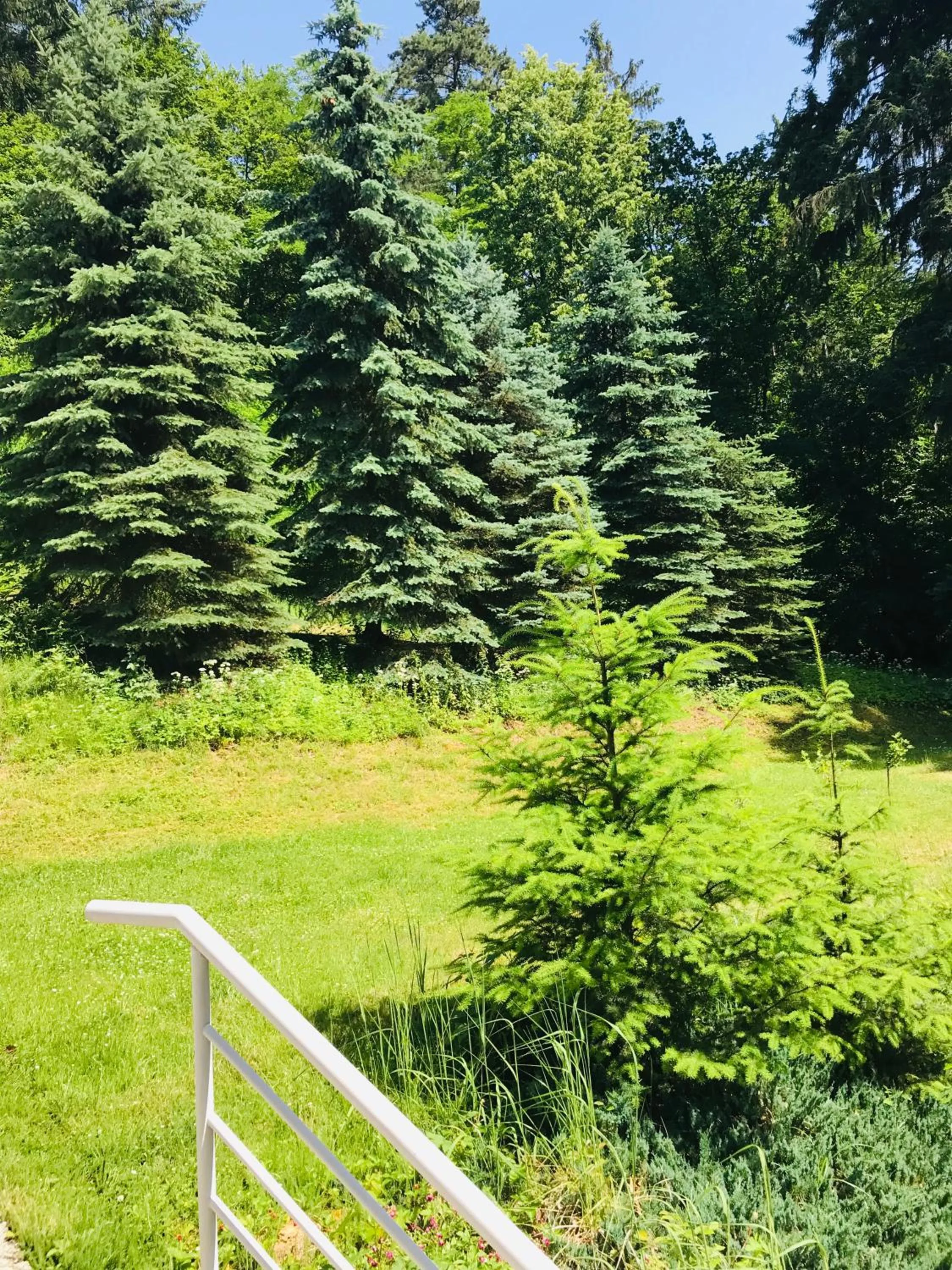 Natural landscape in Interhotel America