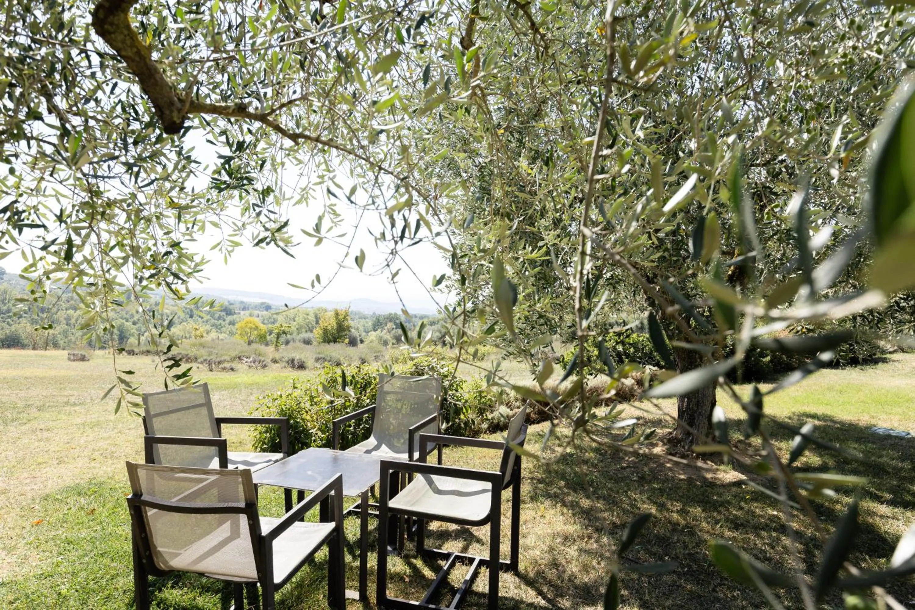 Spring in Tenuta Ponziani Wine Resort&Spa