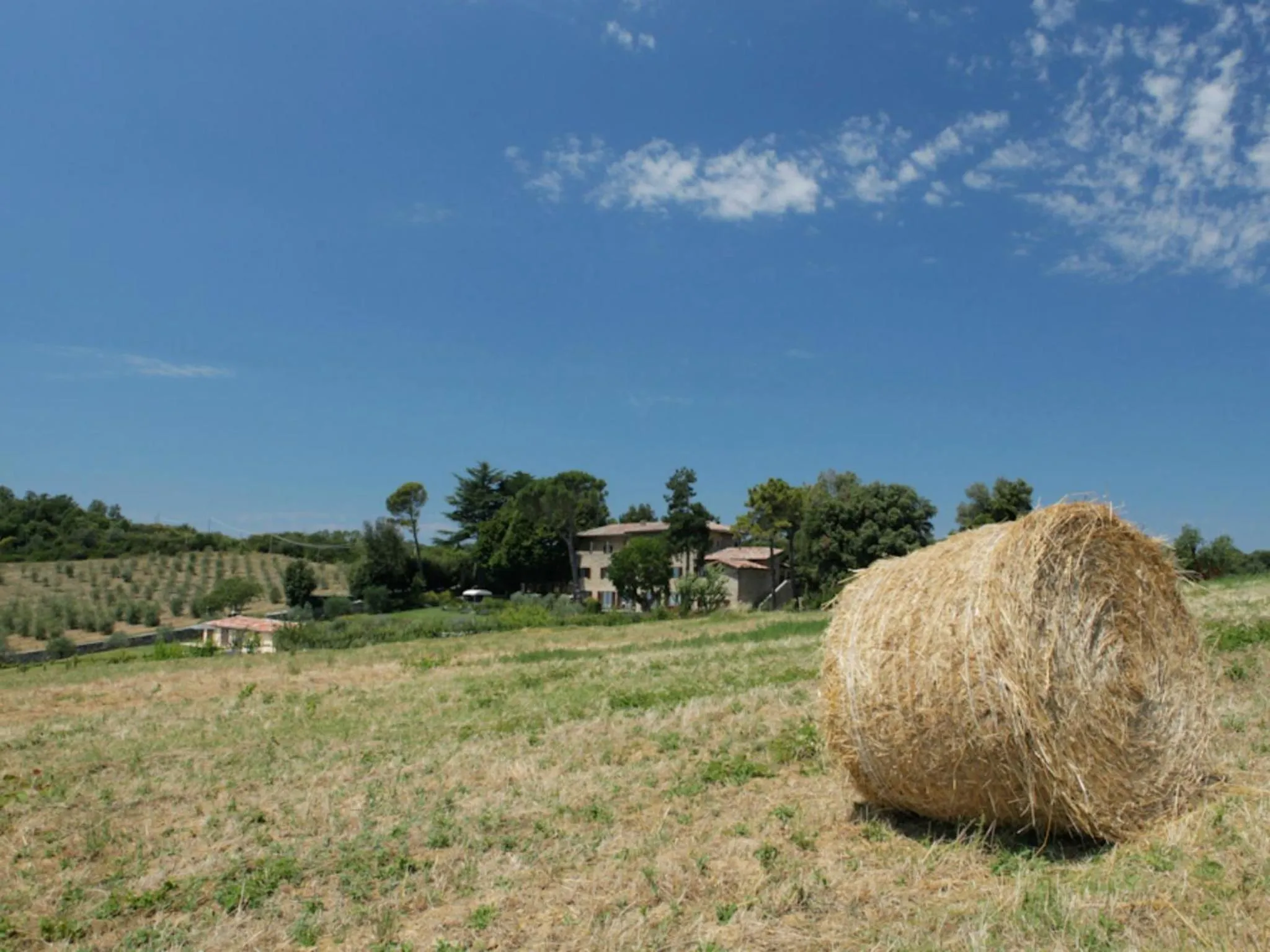 Area and facilities in Tenuta Ponziani Wine Resort&Spa