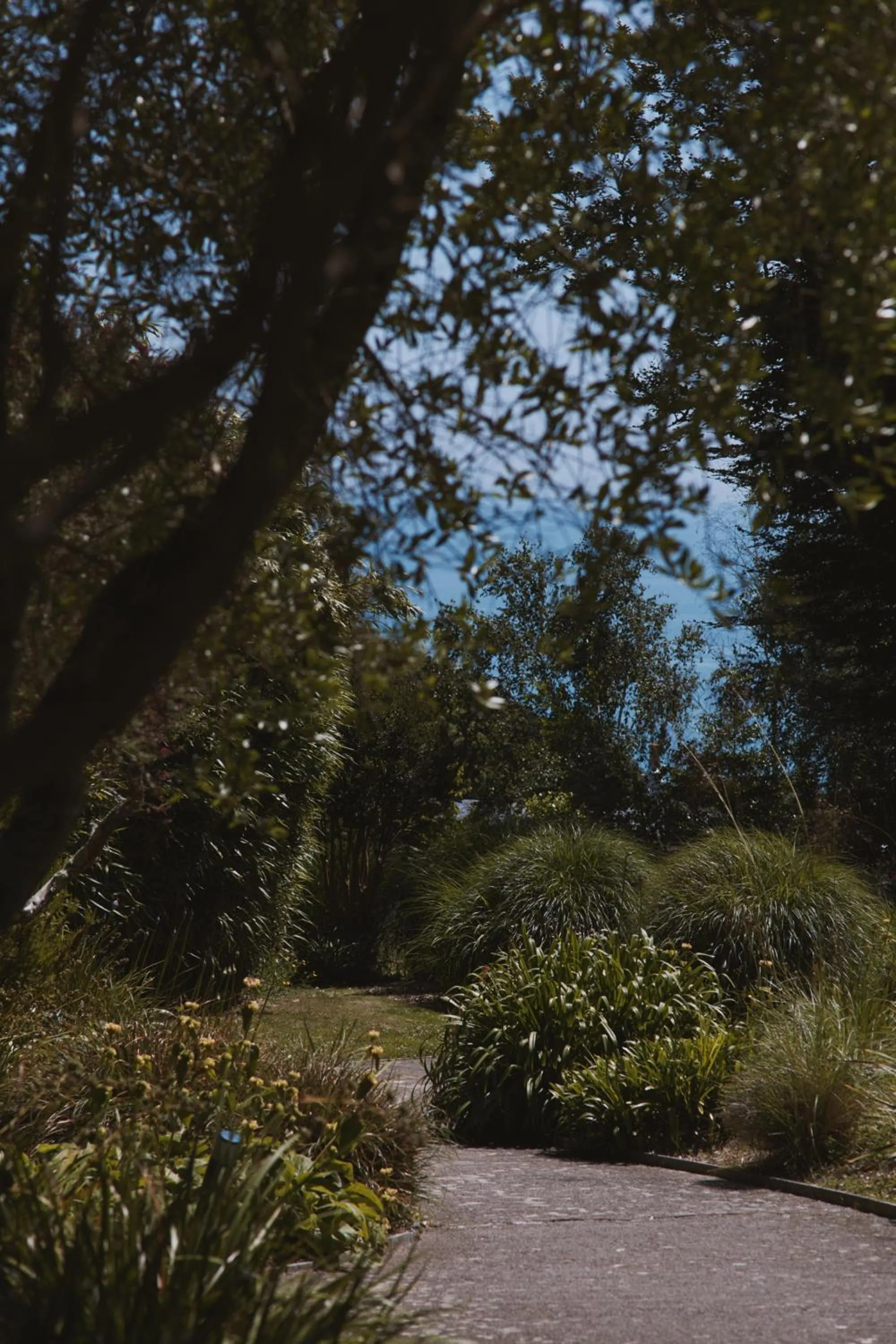 Garden in Fermain Valley Hotel