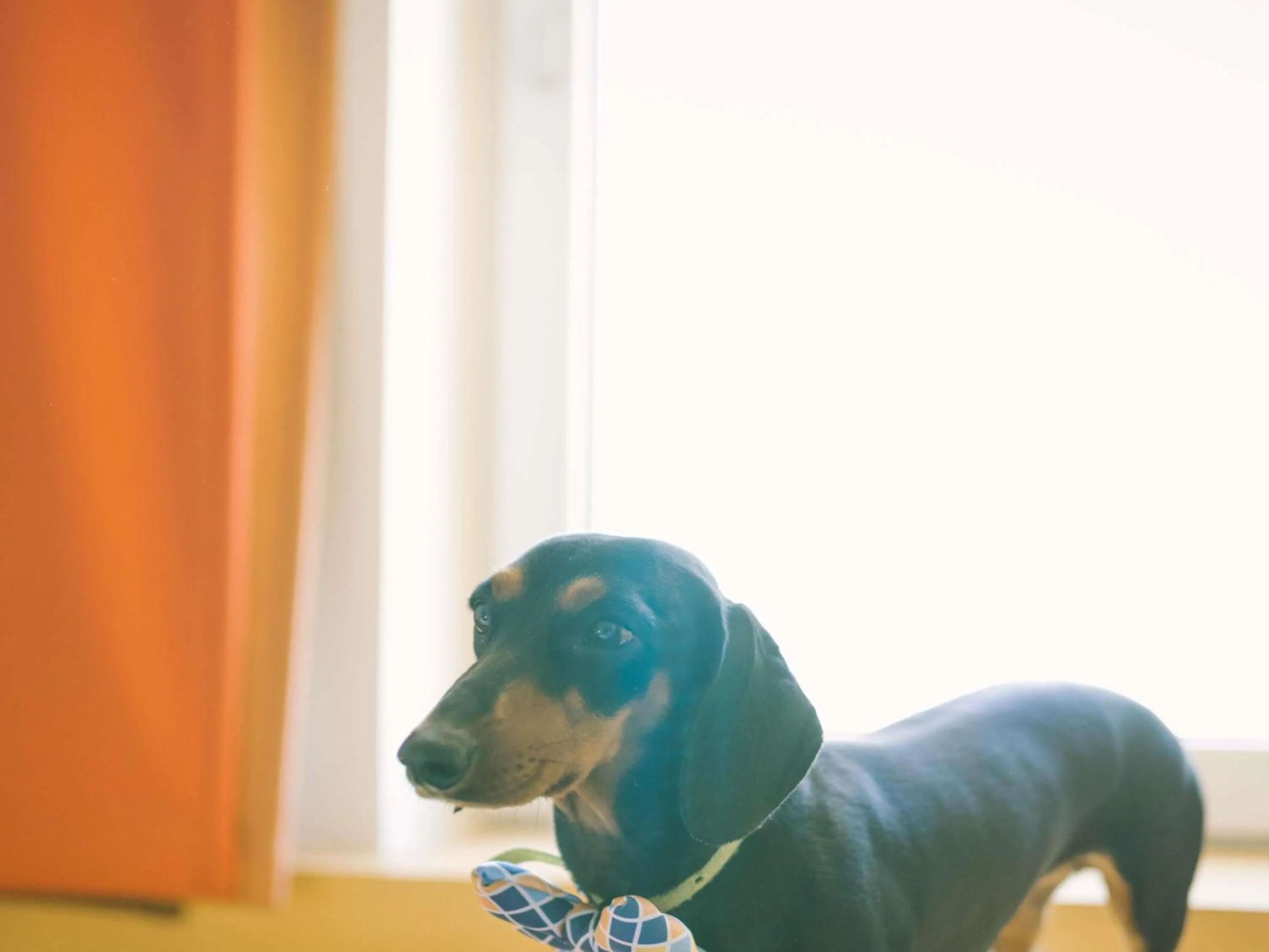 Other in Ibis Madrid Alcorcon Tresaguas