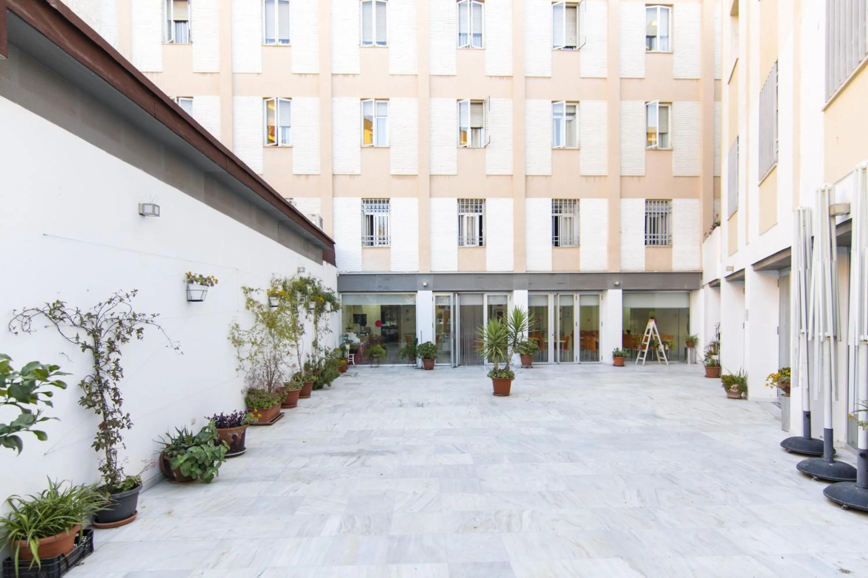 Patio in Albergue Inturjoven Granada