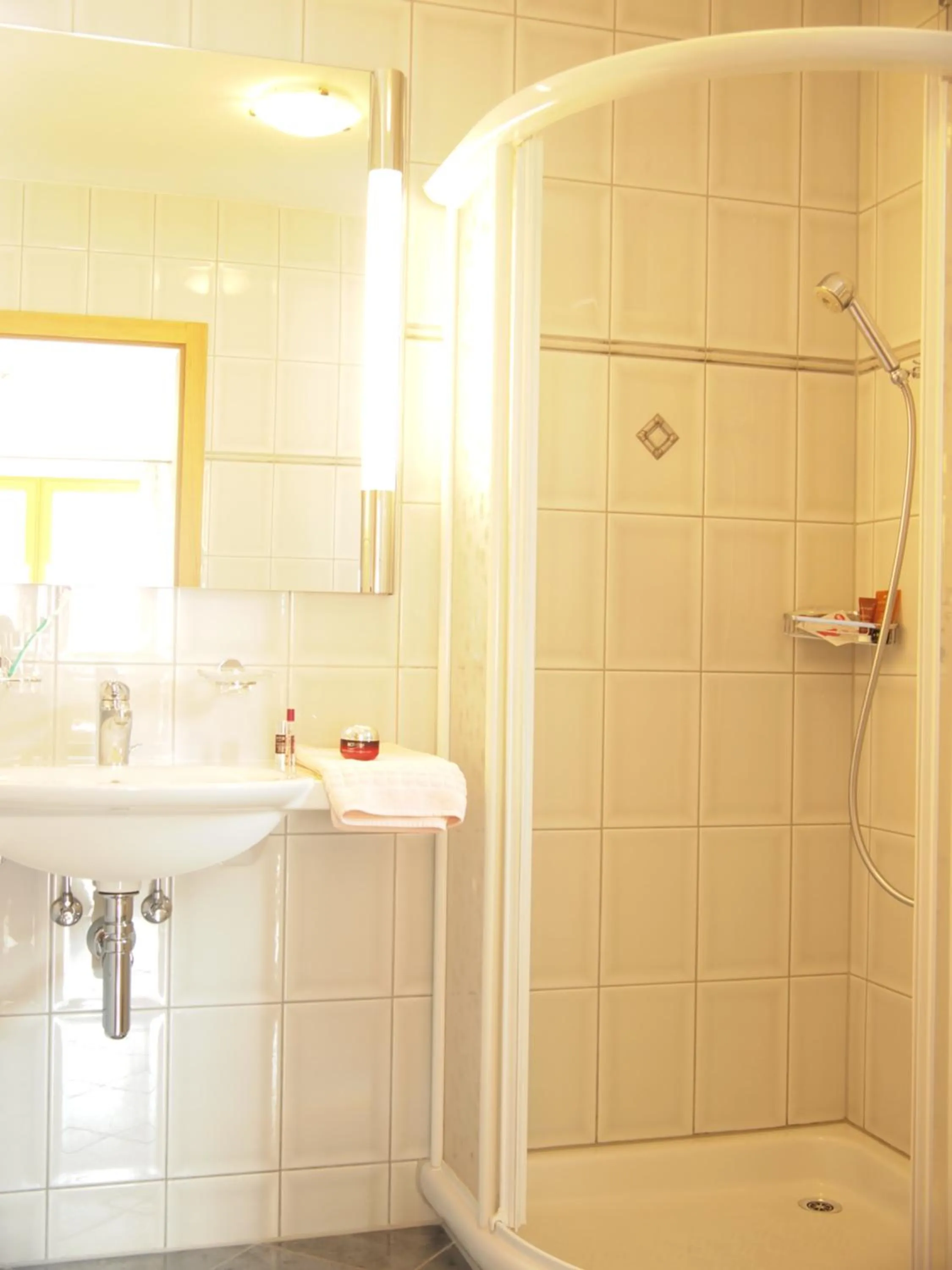 Shower in Apart-Garni Motnaida