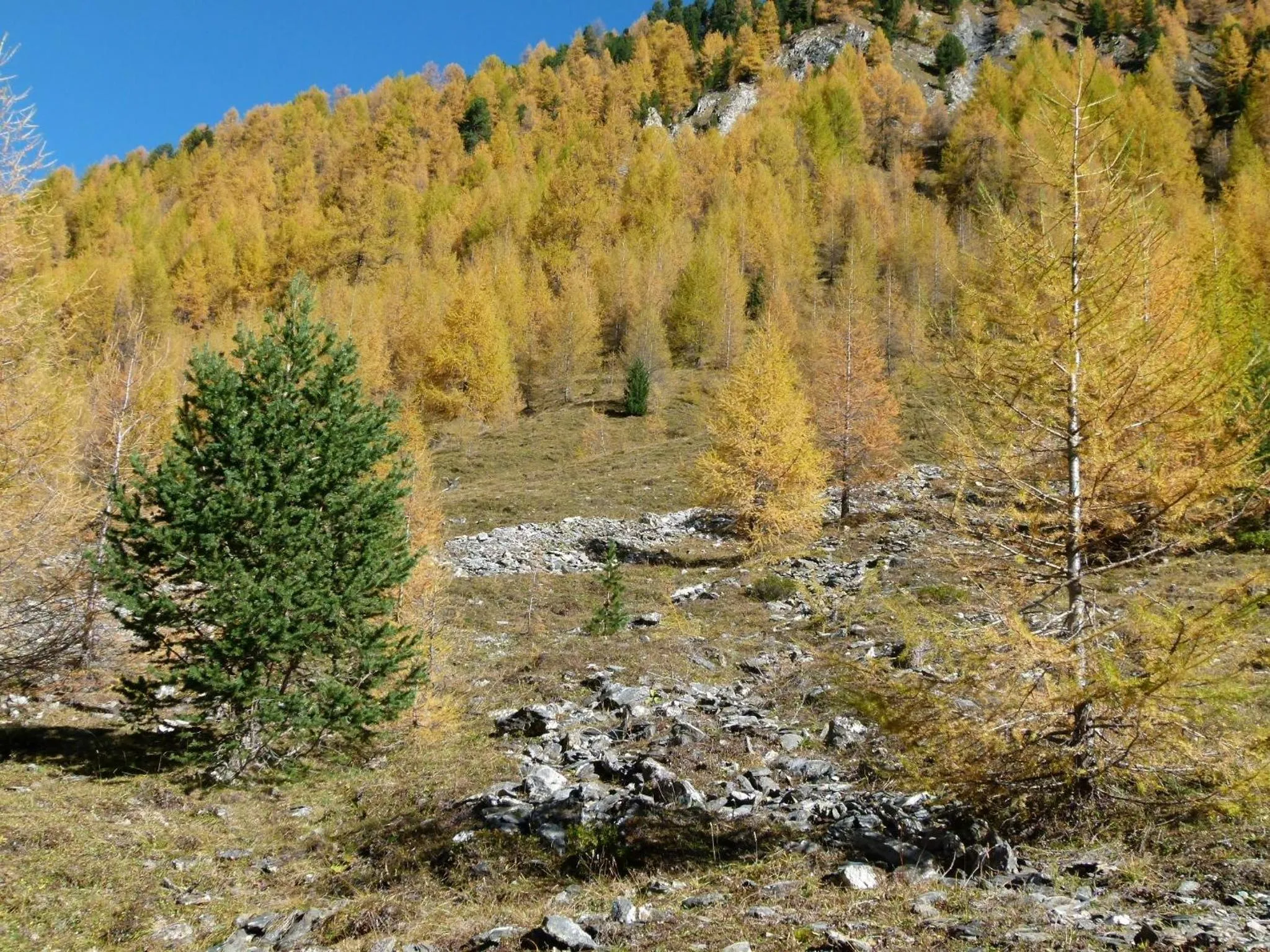 Hiking in Apart-Garni Motnaida