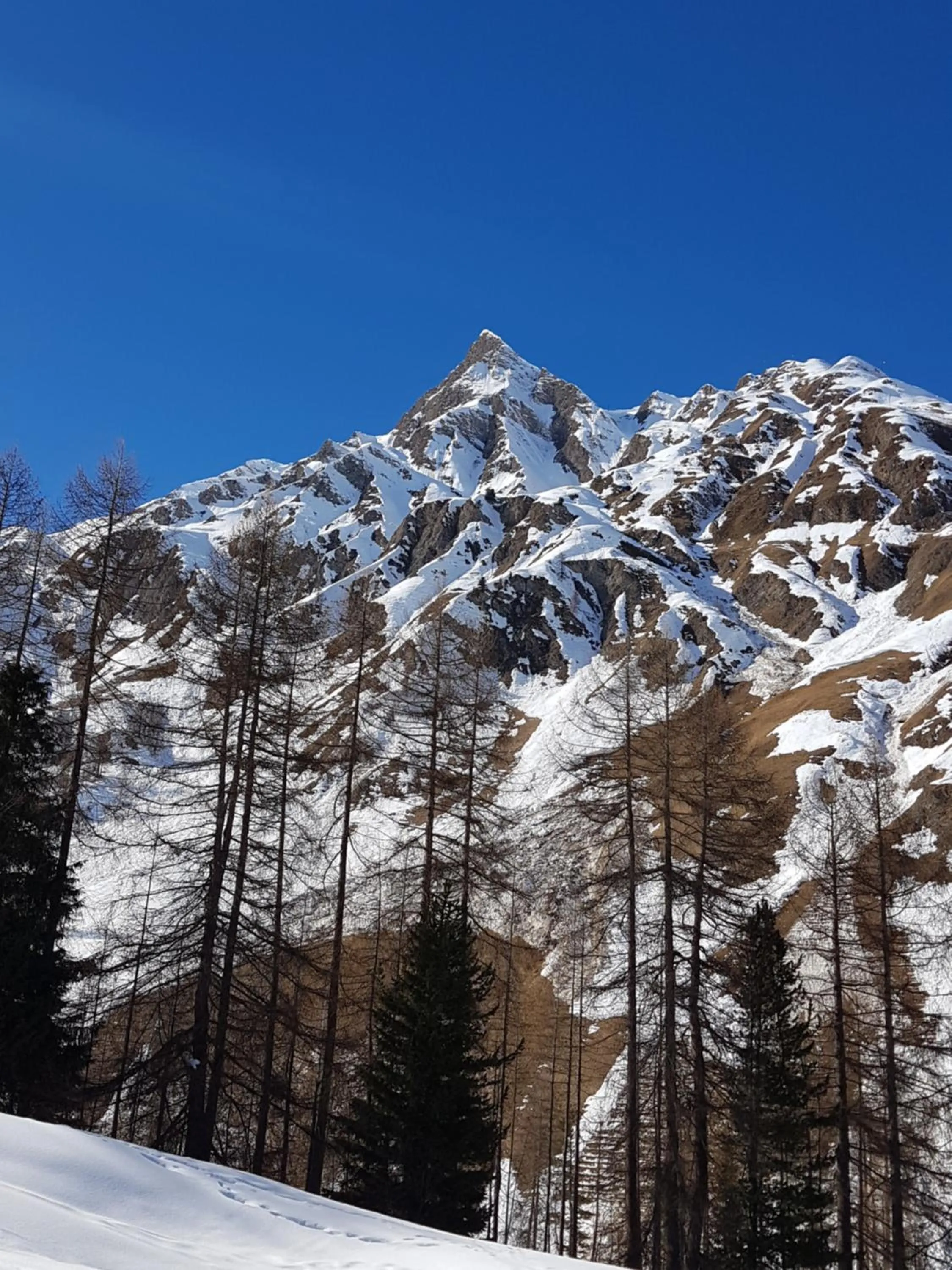 Mountain view in Apart-Garni Motnaida