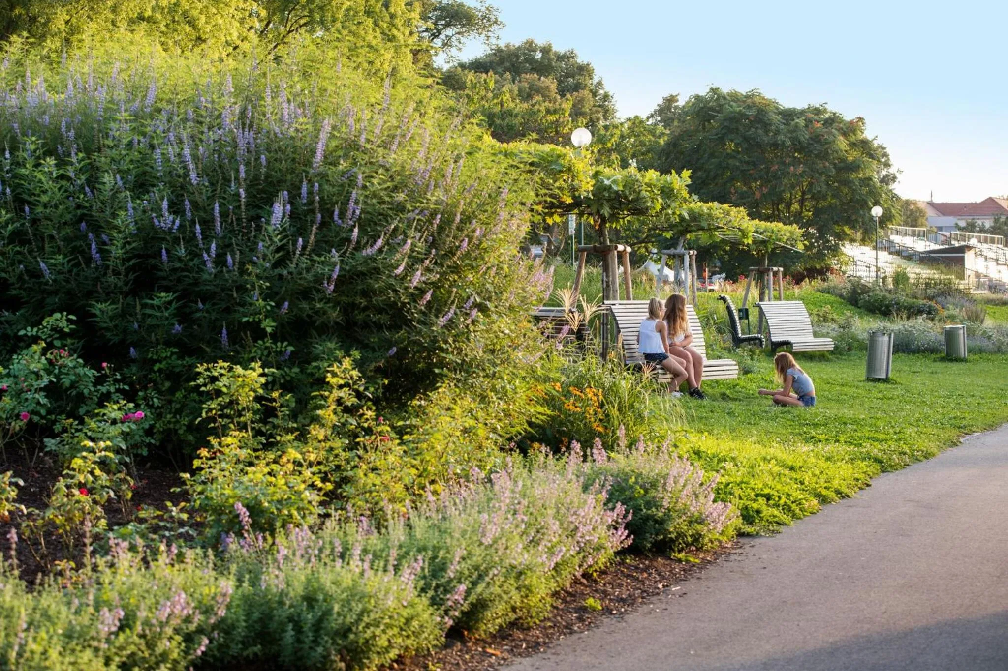 Area and facilities in Hotel Nibelungenhof