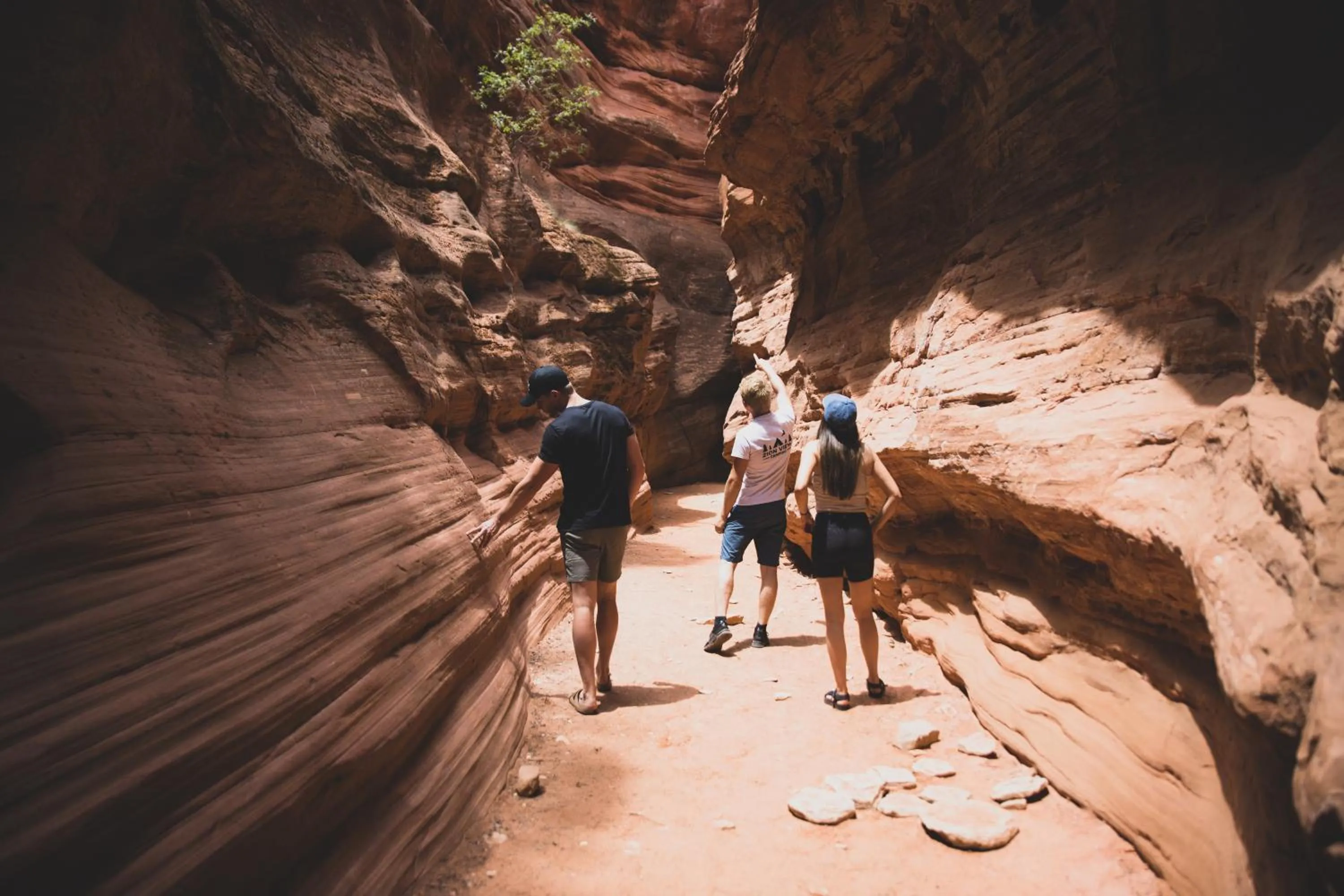 Off site in Zion View Camping