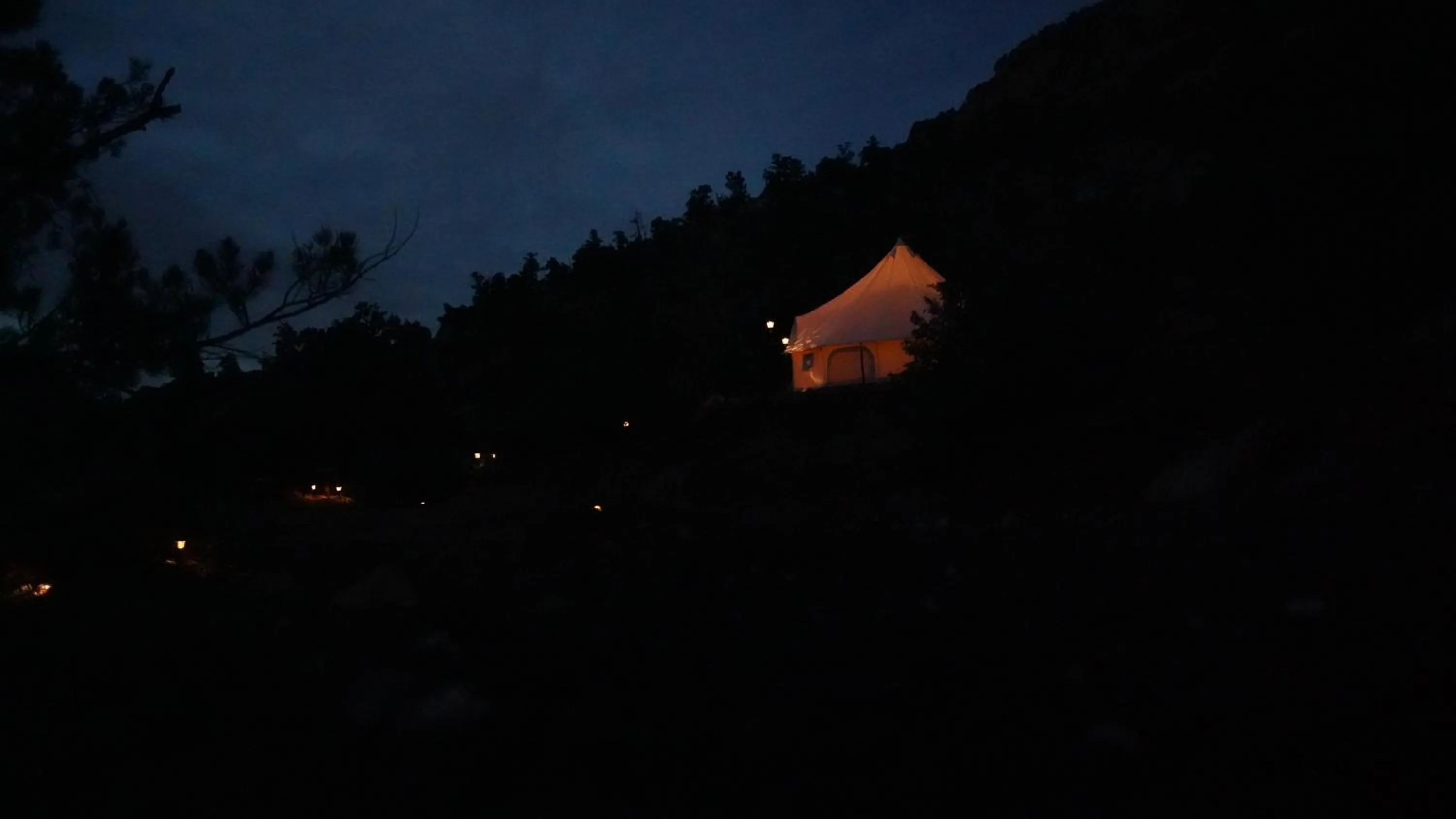 Night in Zion View Camping