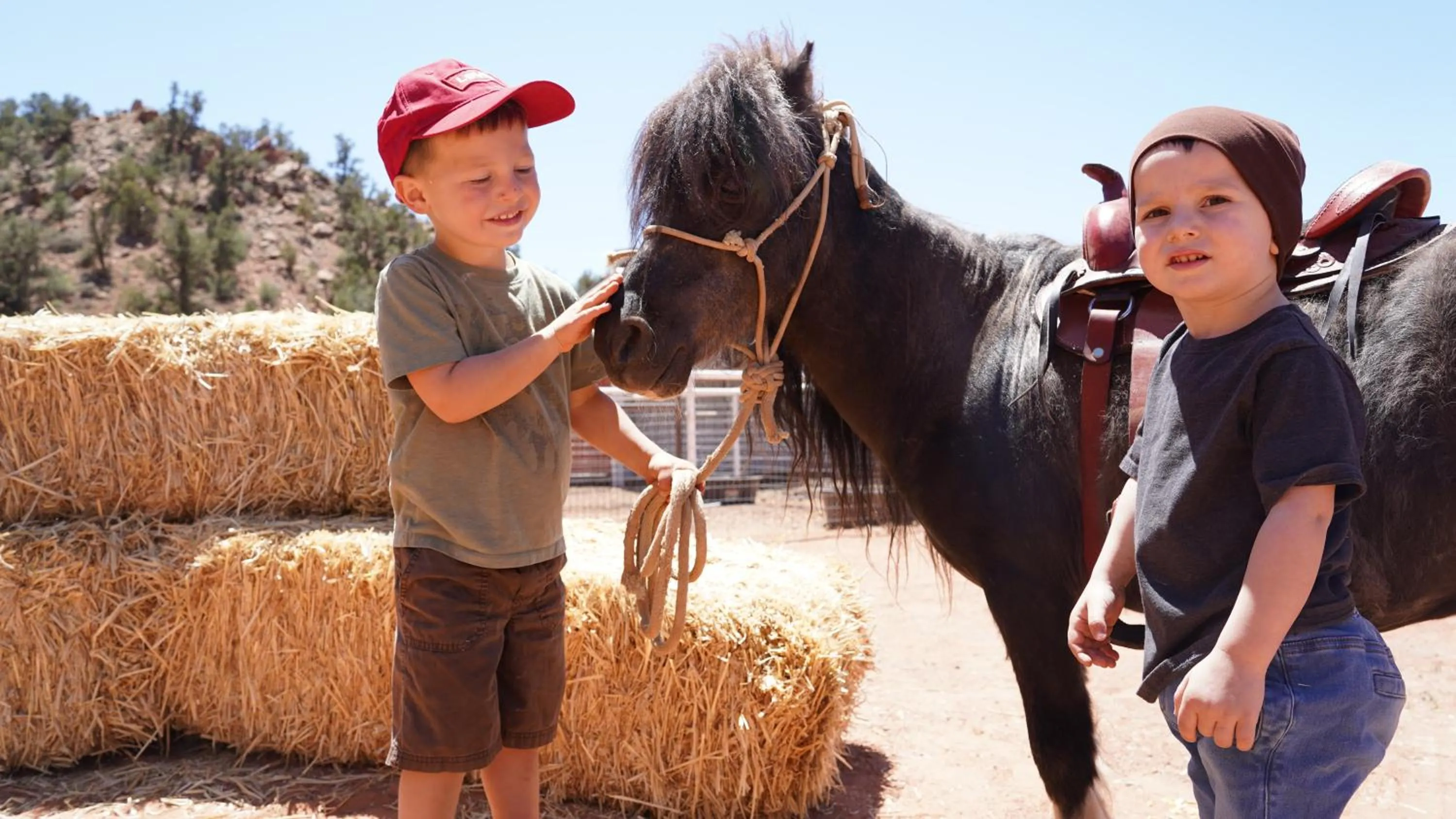 Horse-riding in Zion View Camping