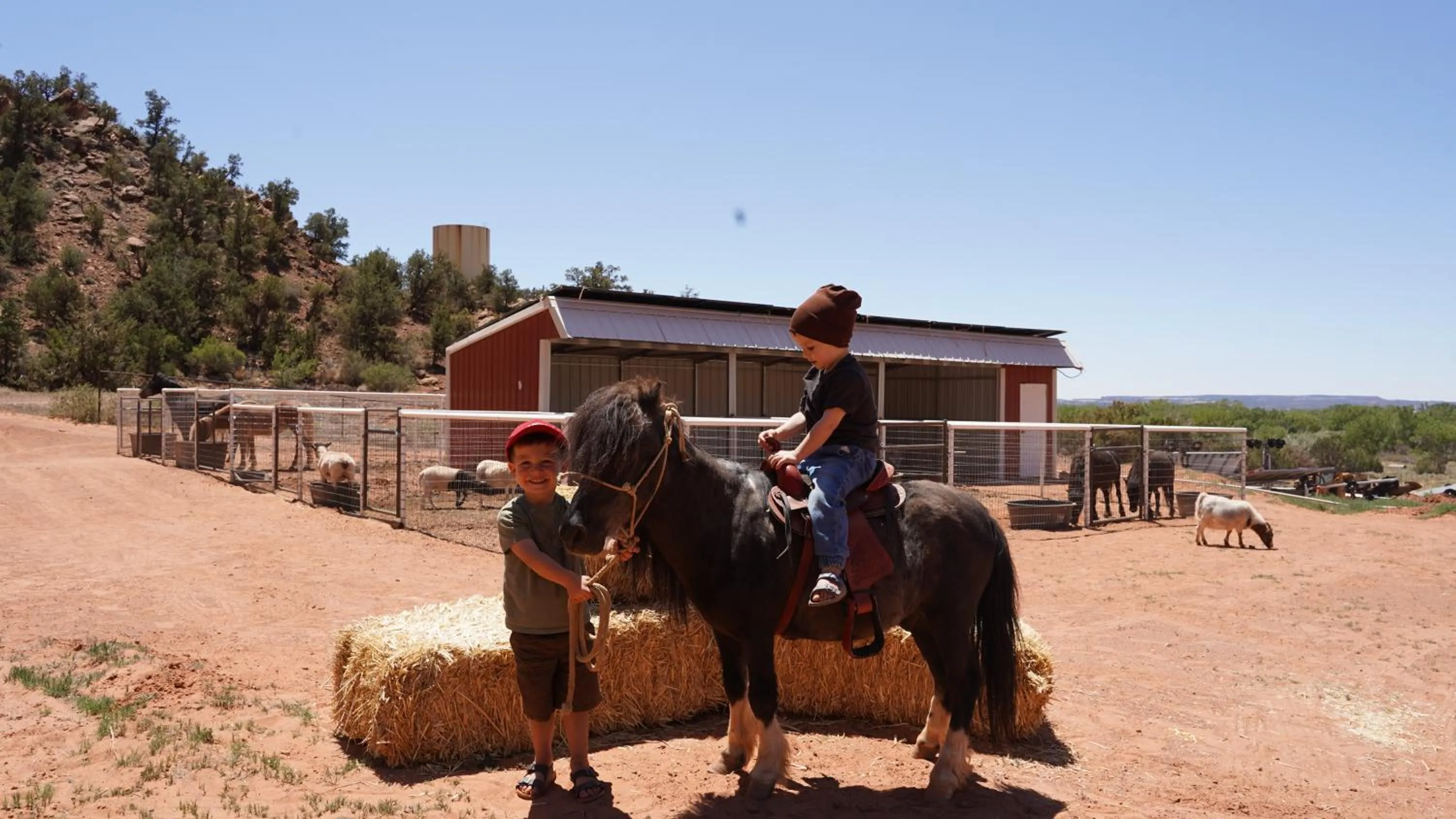 Horse-riding in Zion View Camping