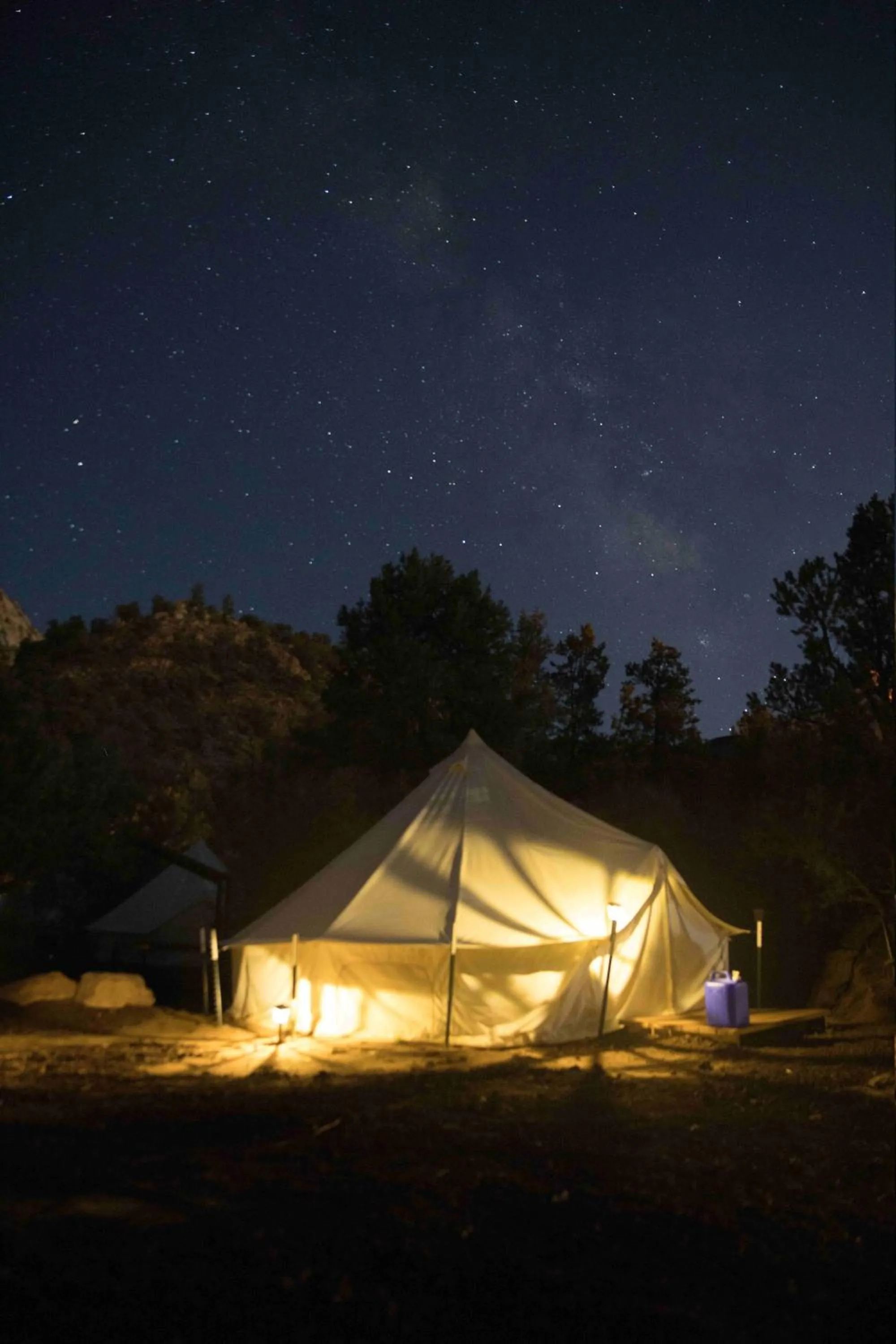 Night in Zion View Camping