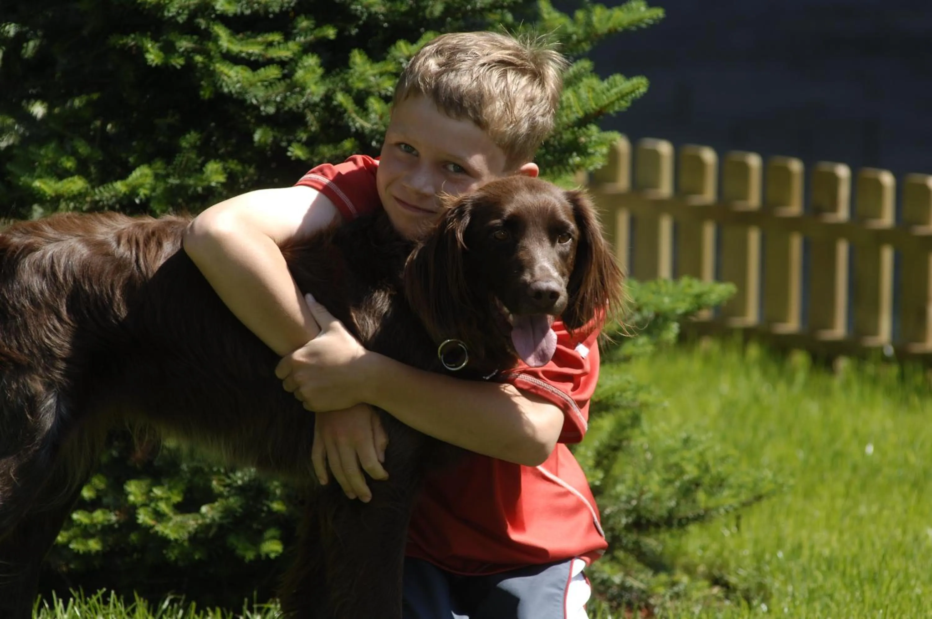 Day in Hotel "Zum Ritter"