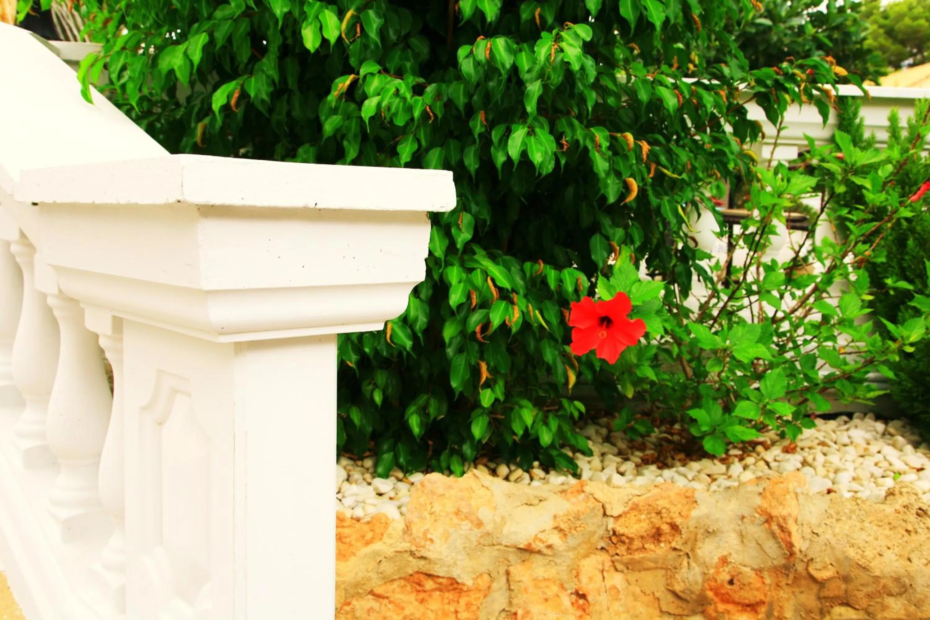 Garden in Villa Columbus Rooms and Restaurant