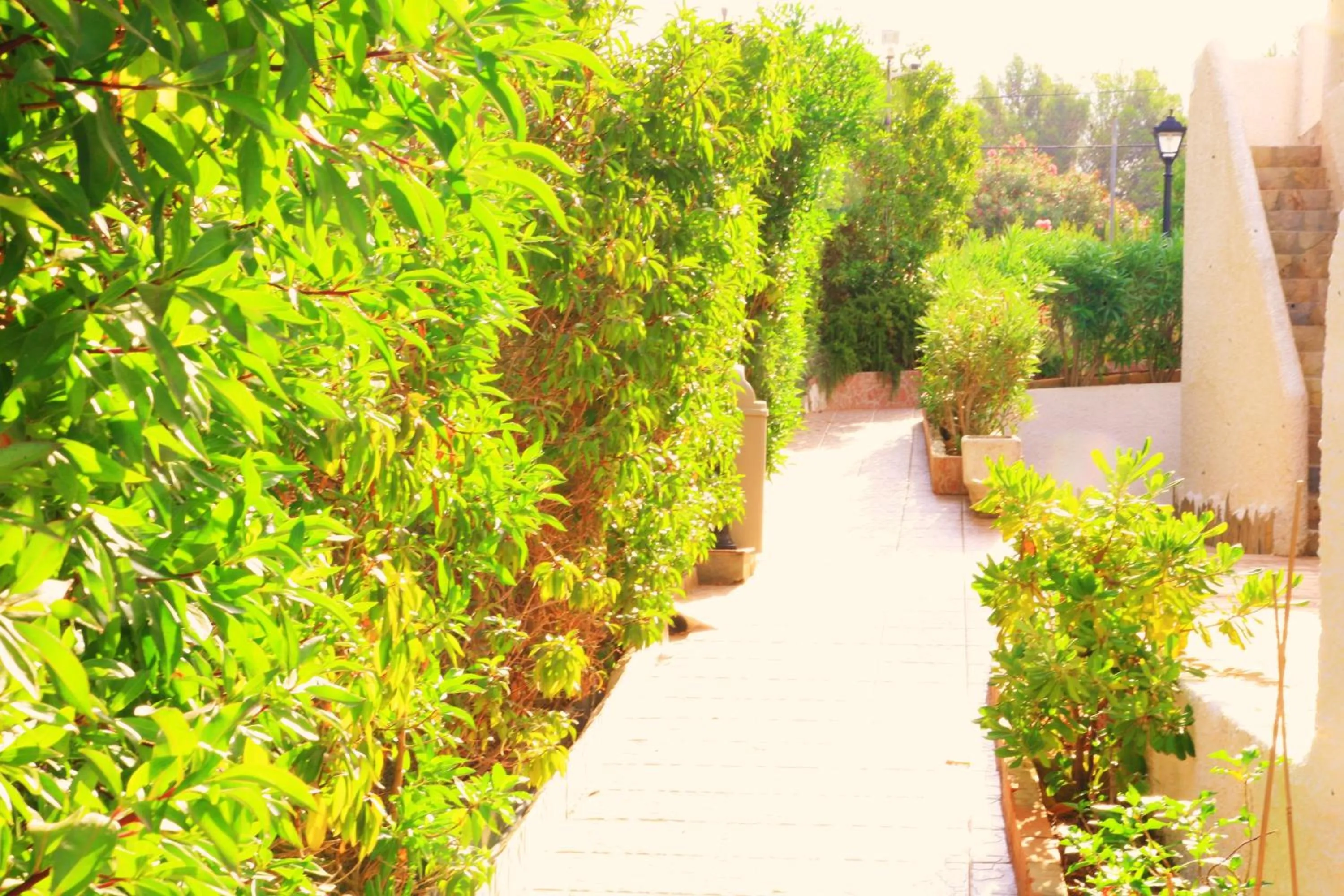 Garden in Villa Columbus Rooms and Restaurant