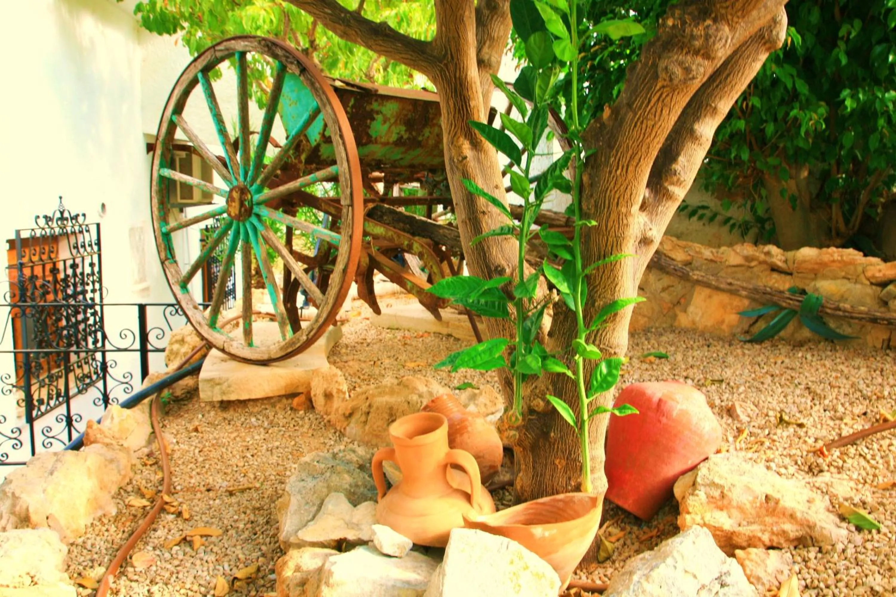 Garden in Villa Columbus Rooms and Restaurant