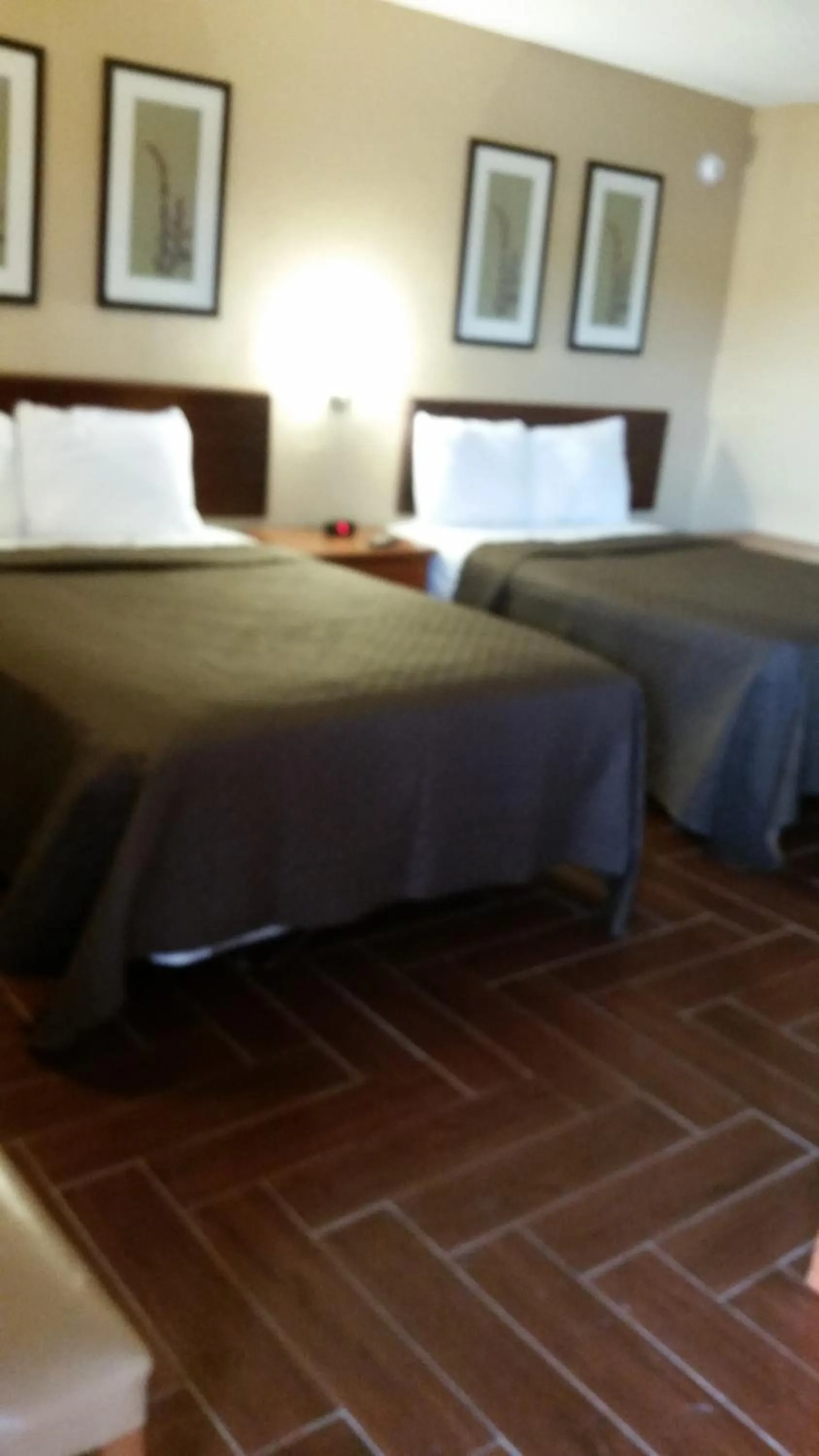 Bed in Budget Lodge Mount Dora