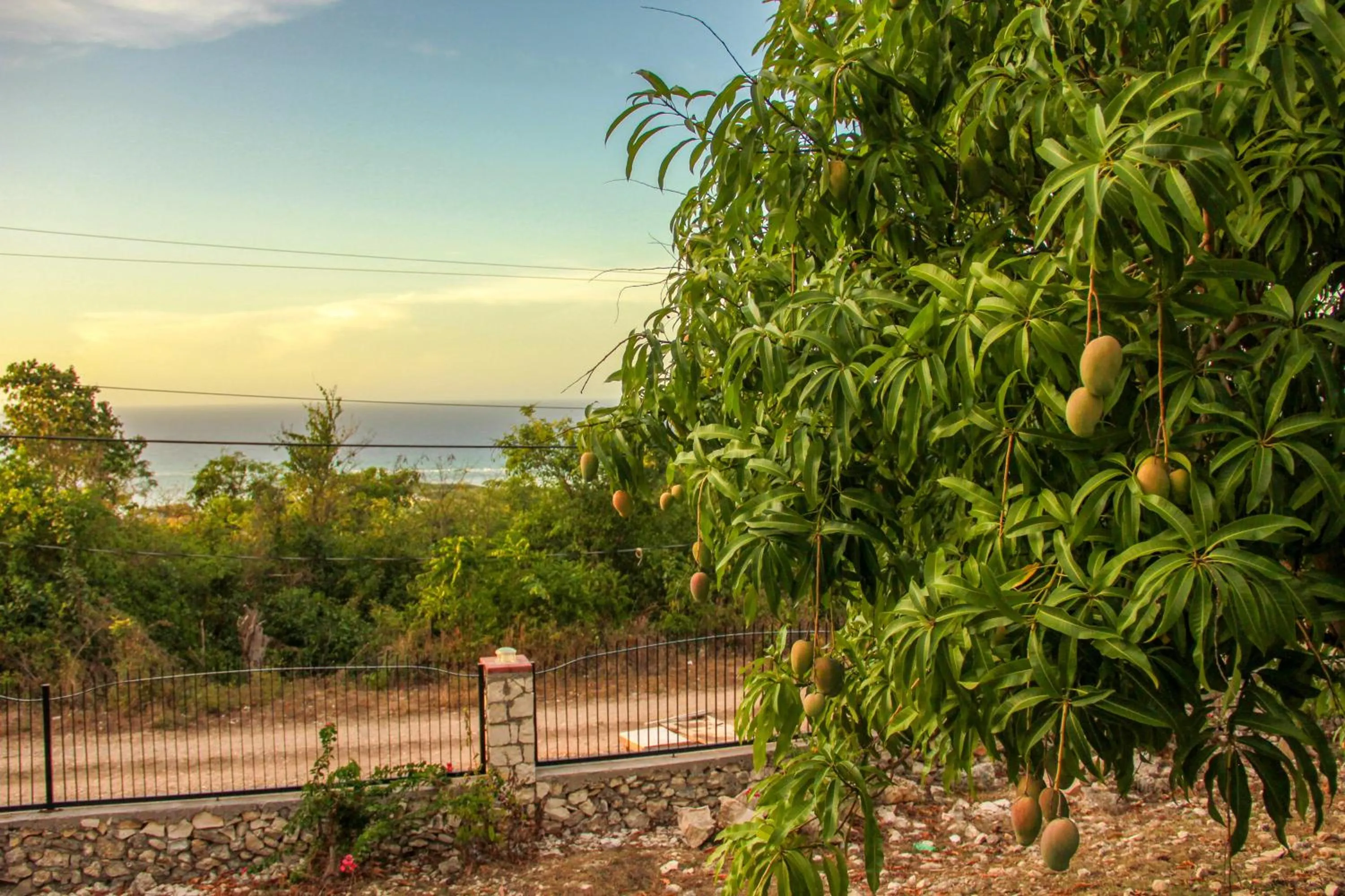 Natural landscape in Sunshine Lodge: Your home away from home