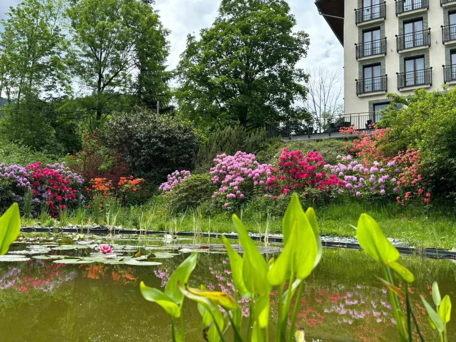 Beltine Forest Hotel